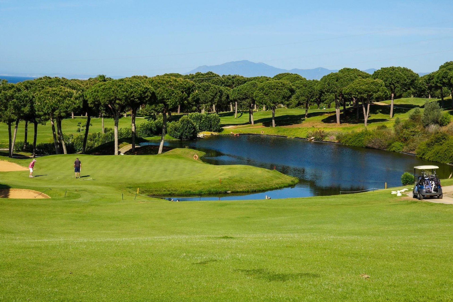 New Build - Apartment / flat -
Marbella - Cabopino Golf