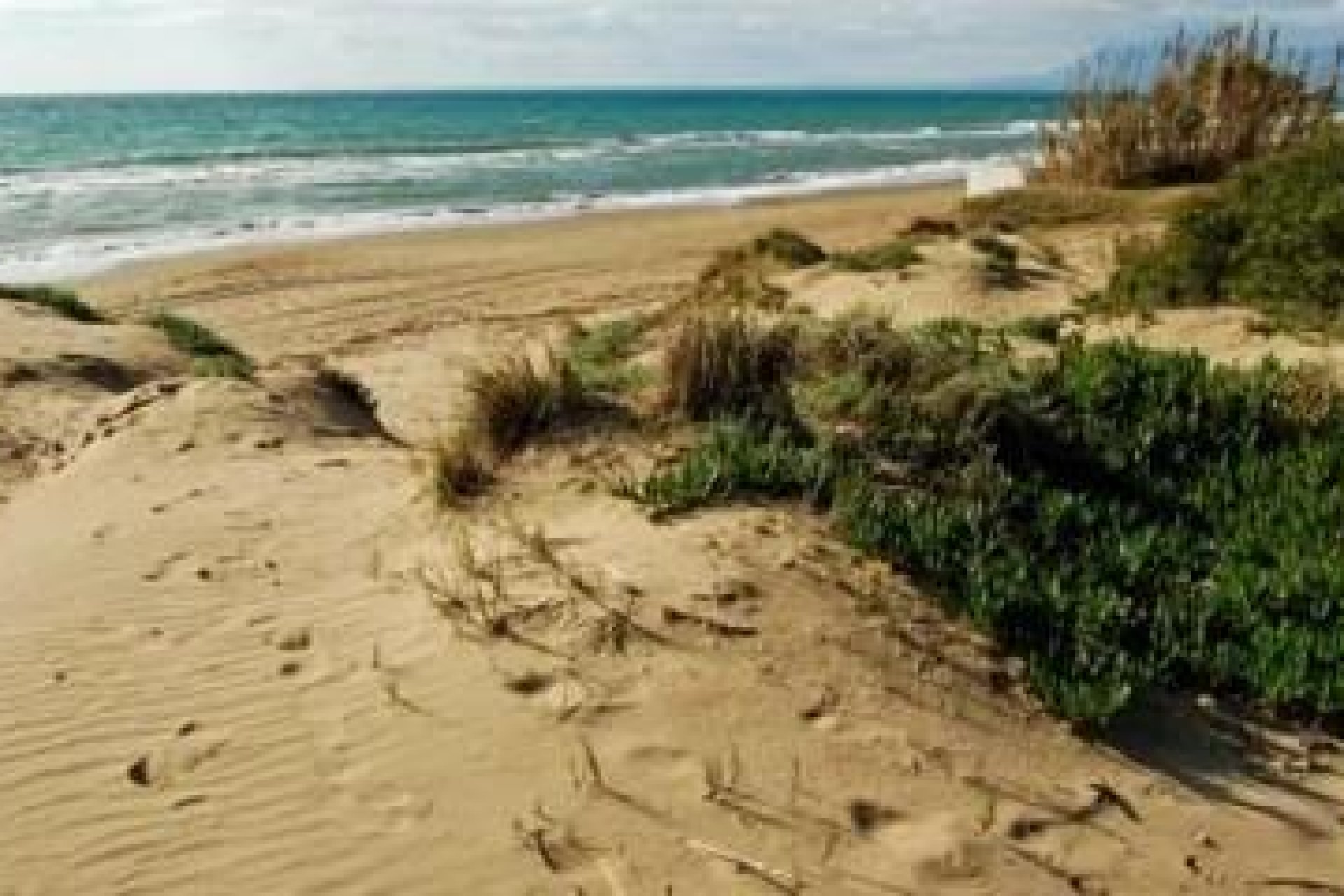 New Build - Apartment / flat -
Marbella - Cabopino