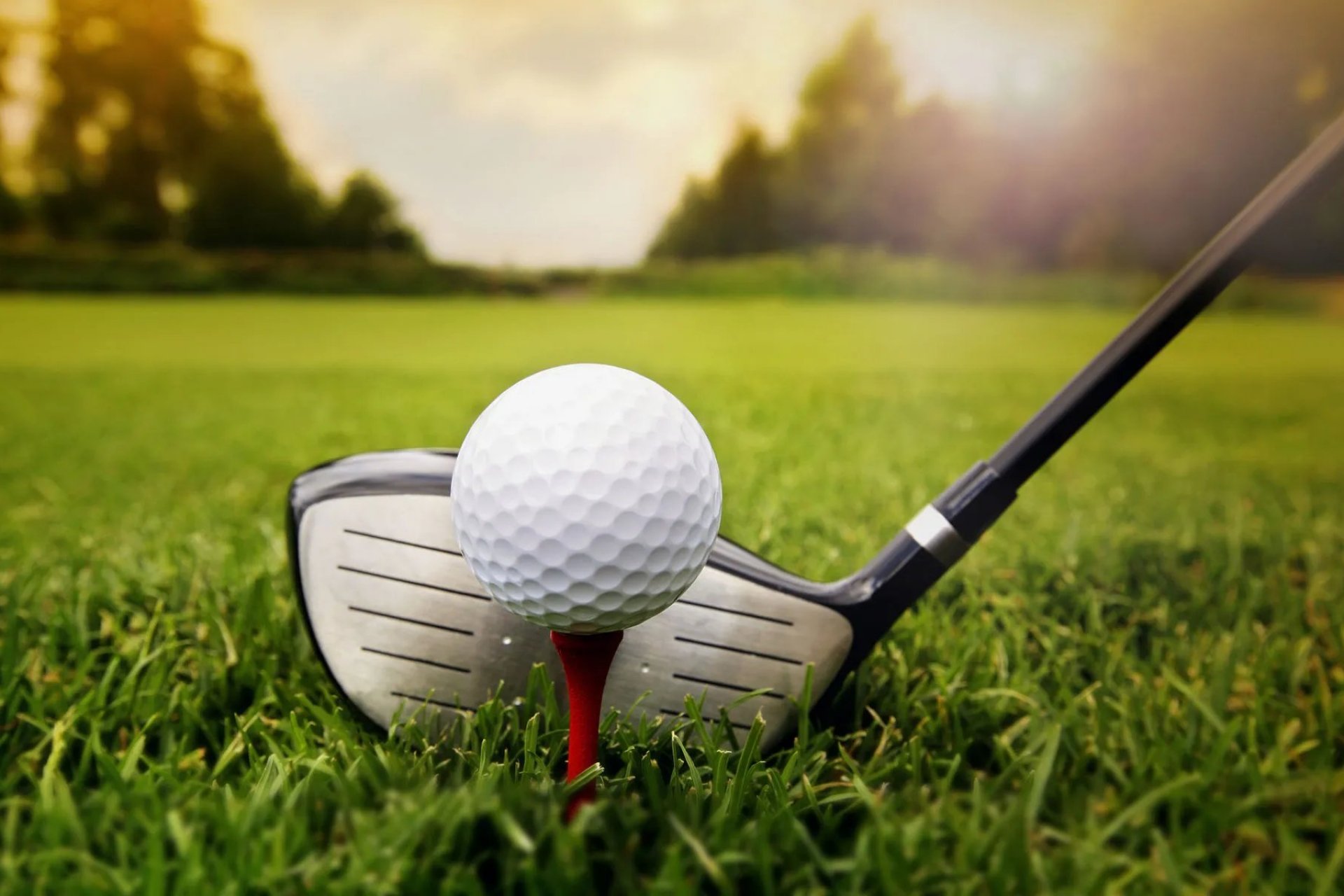 New Build - Villa -
Orihuela