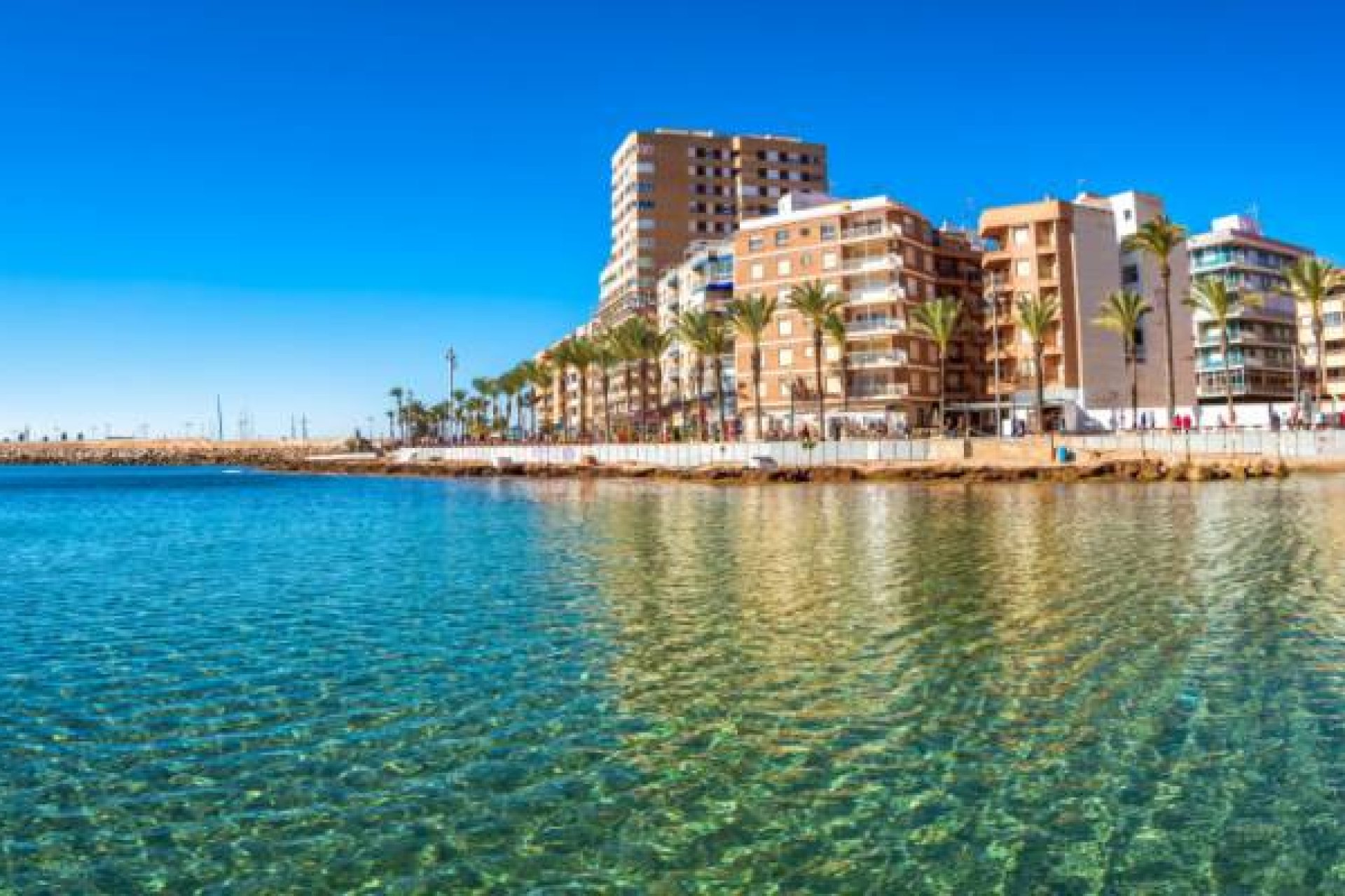 Nieuwbouw - Appartement -
Algorfa