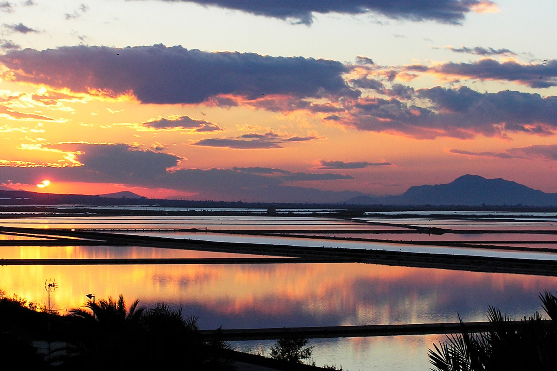 Nieuwbouw  - Appartement -
Alicante - Alicante (Alacant)