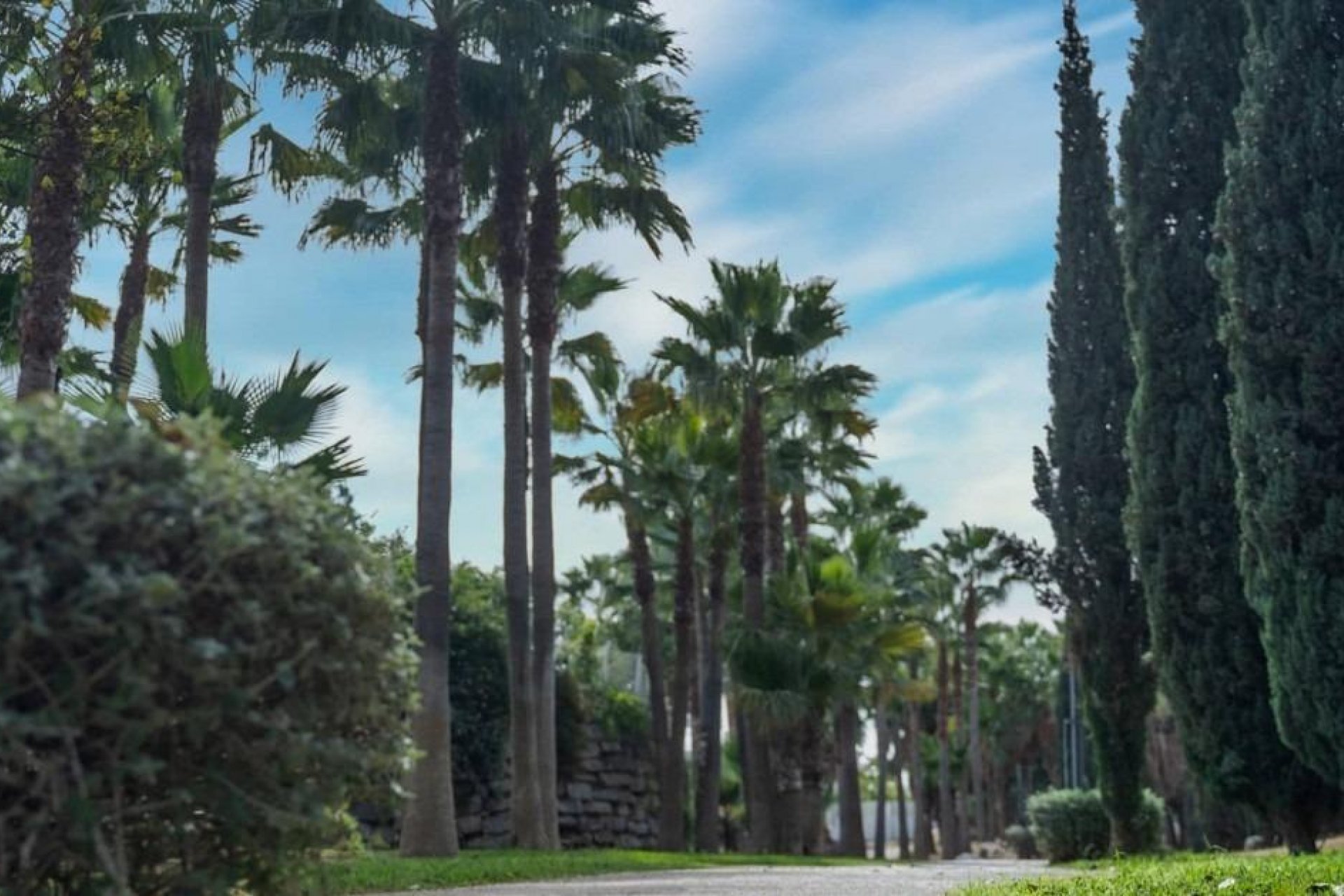 Nieuwbouw  - Appartement -
Fuengirola - Higueron