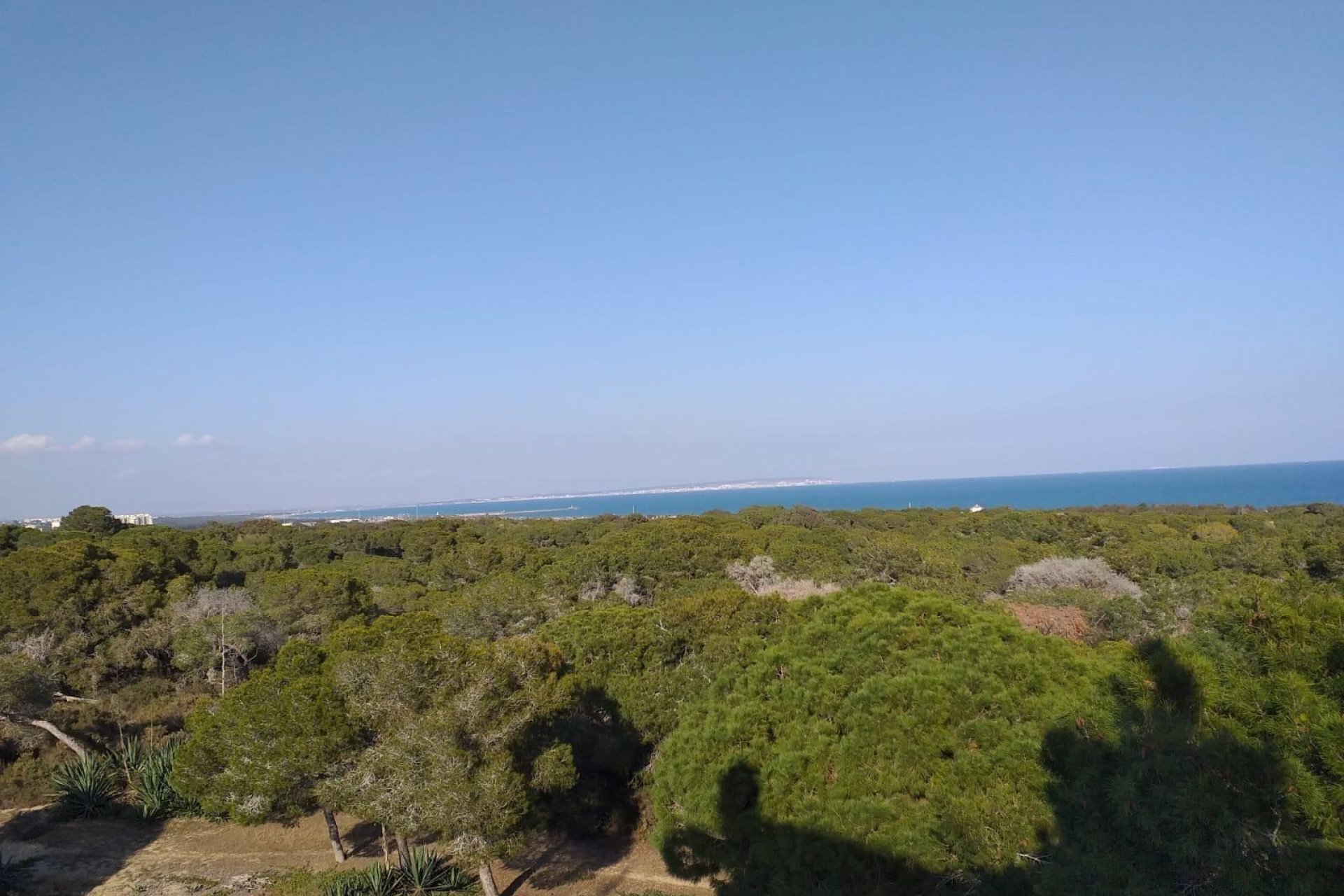 Nieuwbouw  - Appartement -
Guardamar del Segura - Pueblo