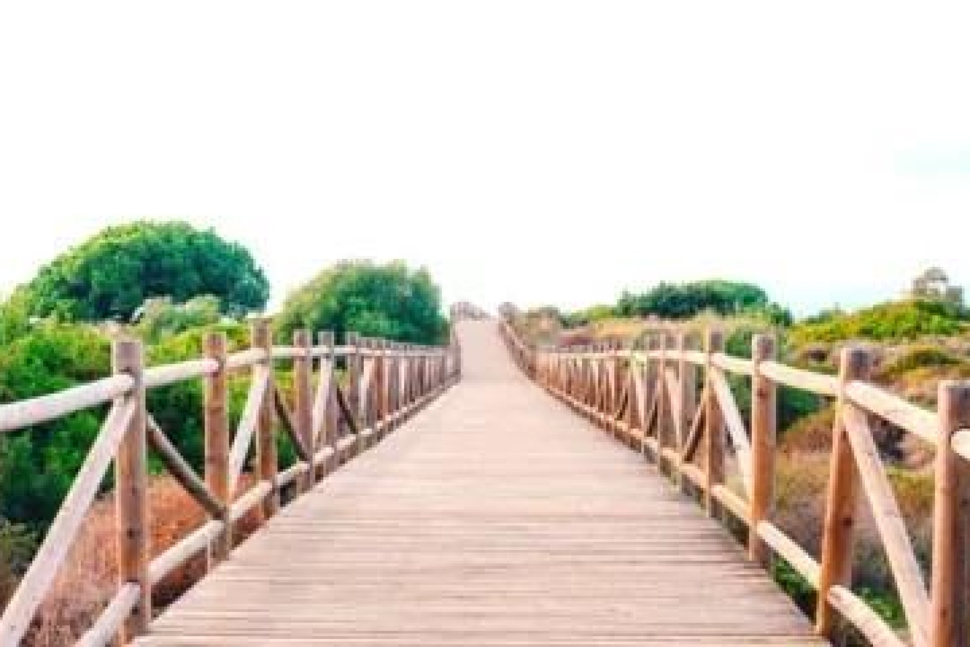 Nieuwbouw  - Appartement -
Marbella - Cabopino