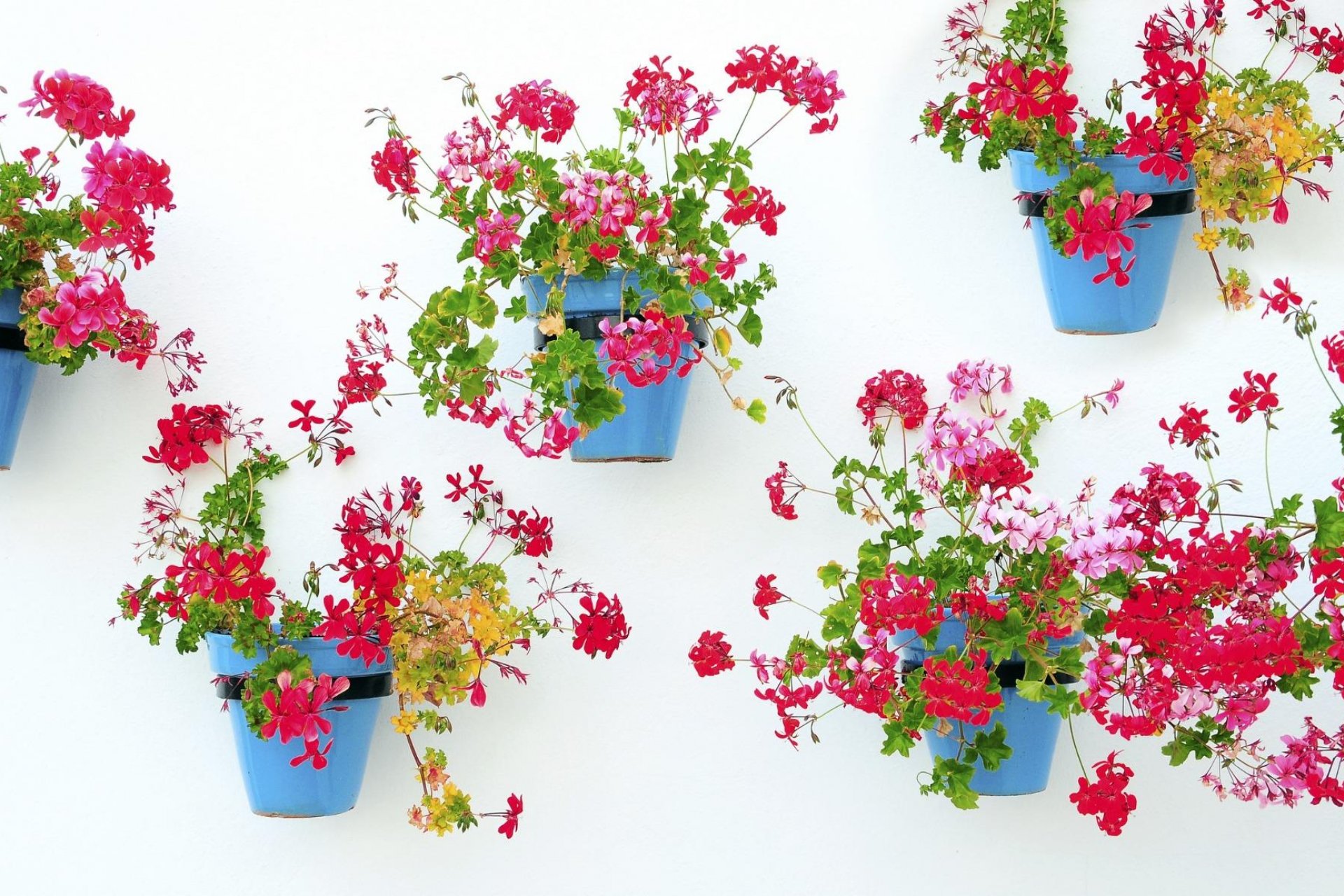 Nieuwbouw  - Appartement -
Mijas - La Noria Golf