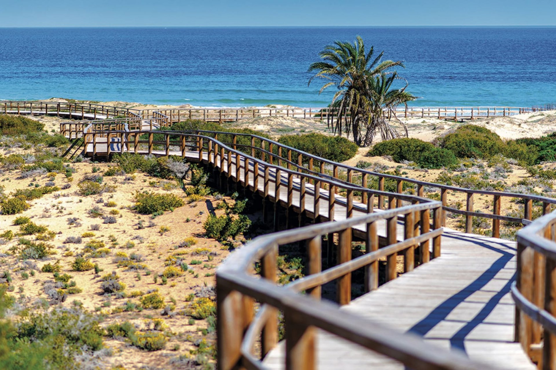 Nieuwbouw  - Appartement -
Monforte del Cid