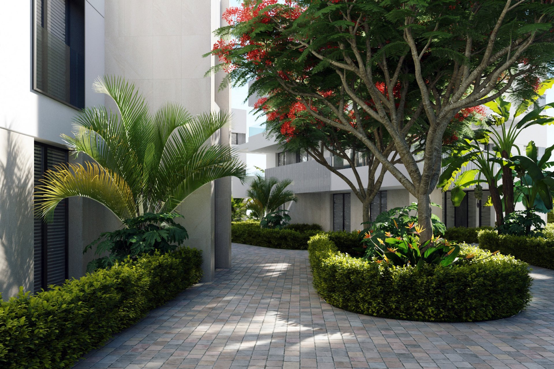 Nieuwbouw  - Appartement -
Santa Rosalía