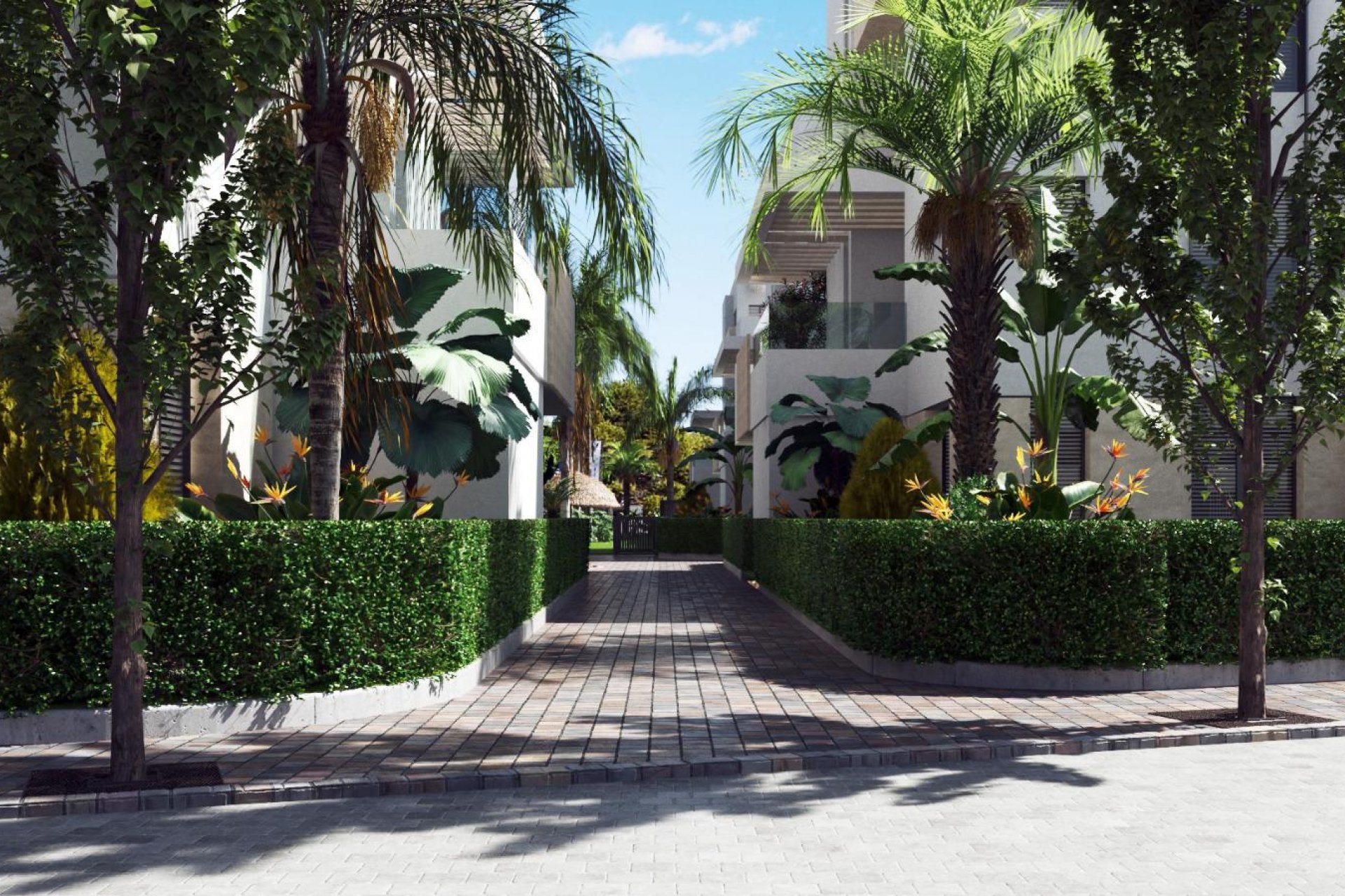 Nieuwbouw  - Appartement -
Torre-Pacheco