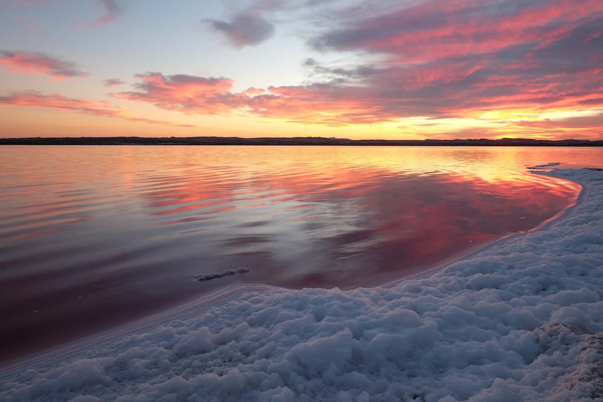 Nieuwbouw  - Appartement -
Torrevieja