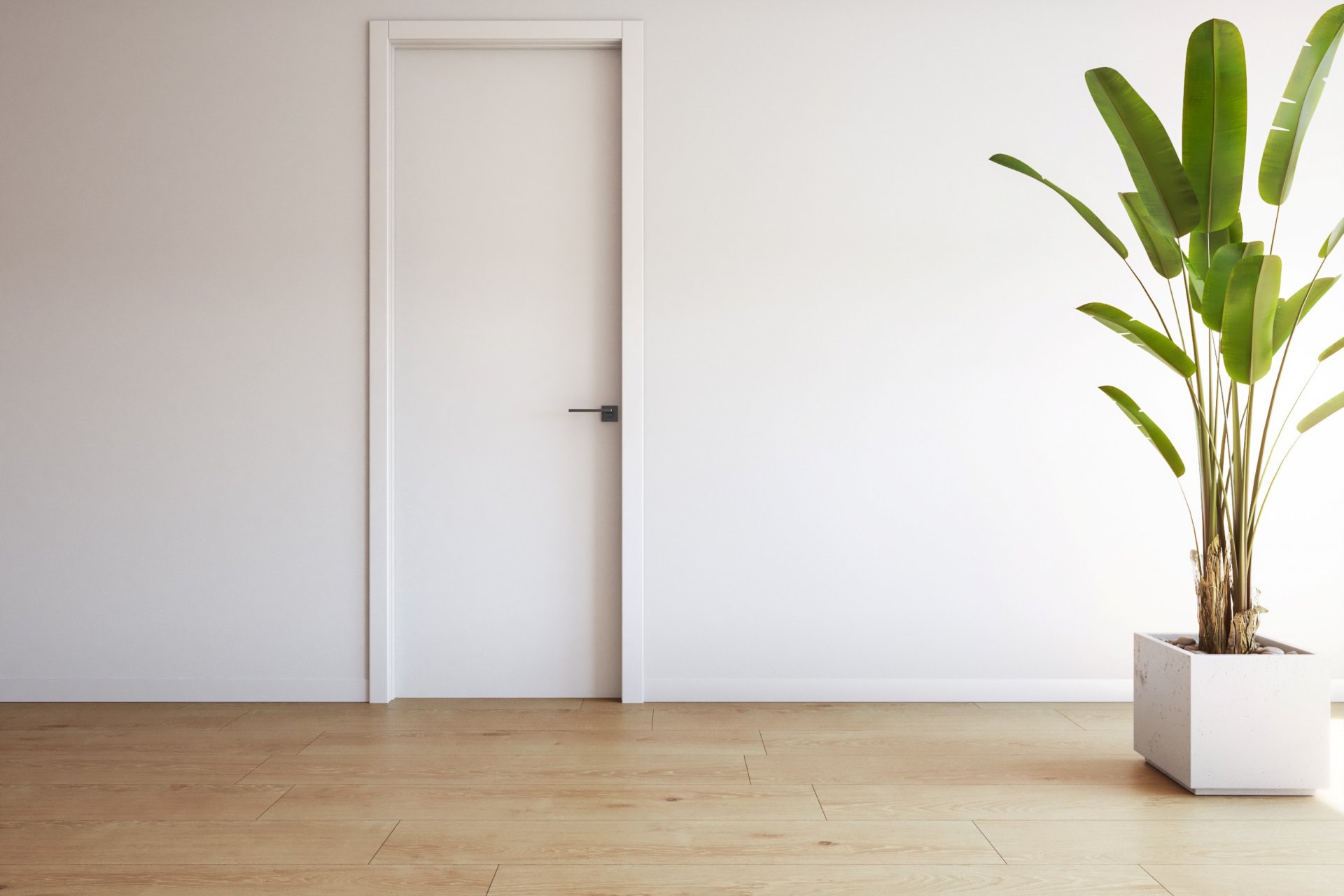 Nieuwbouw  - Appartement -
Torrevieja