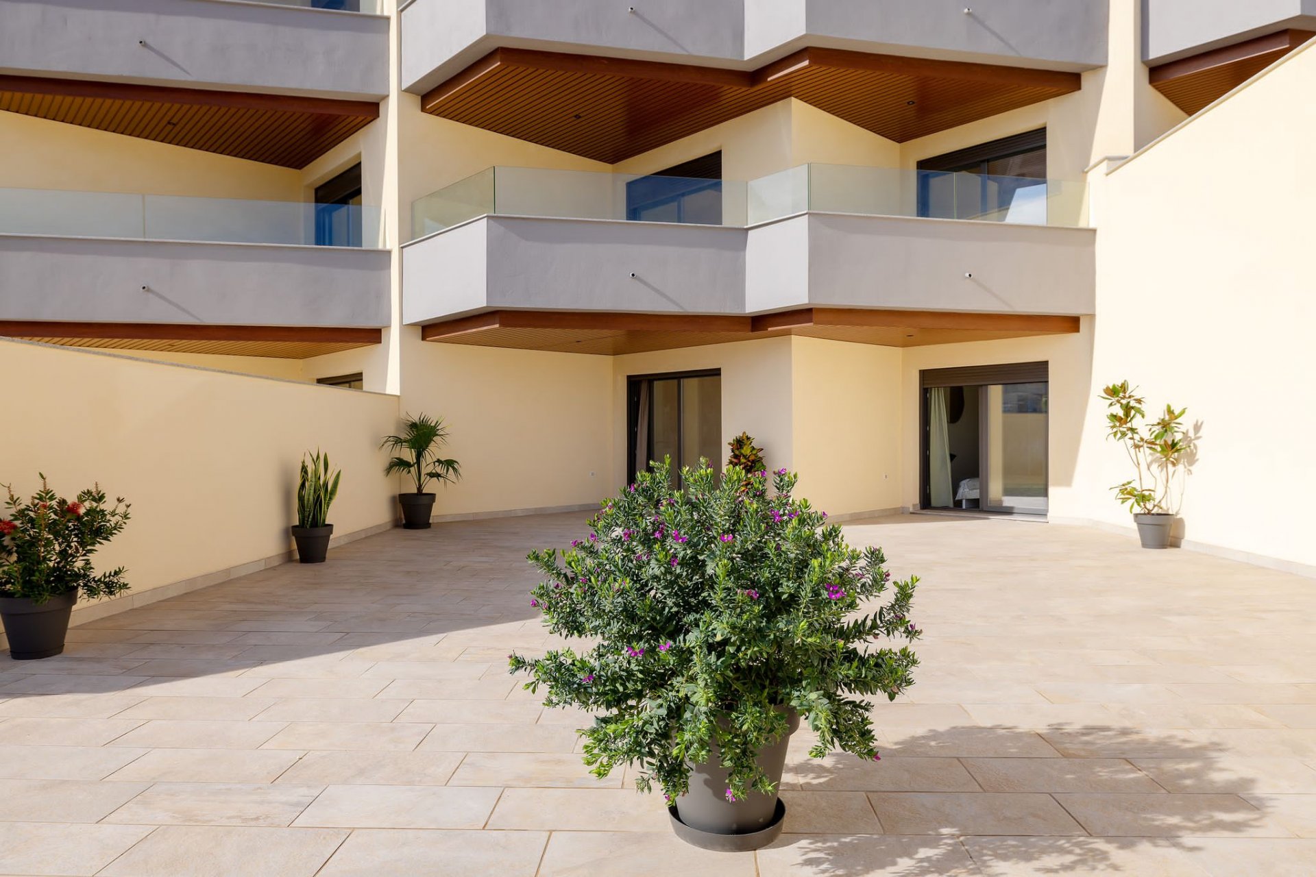 Nieuwbouw  - Appartement -
Torrox