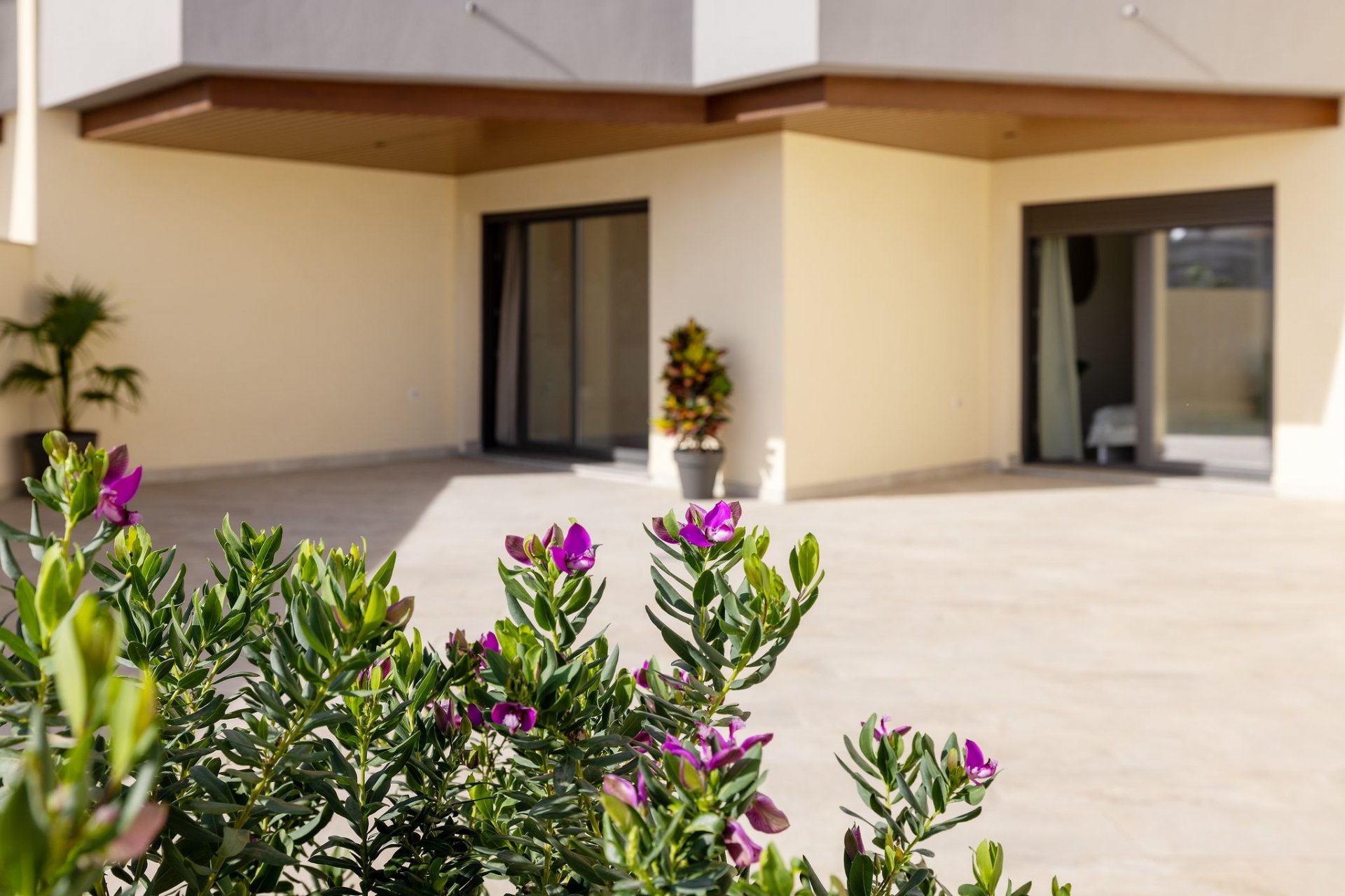 Nieuwbouw  - Appartement -
Torrox