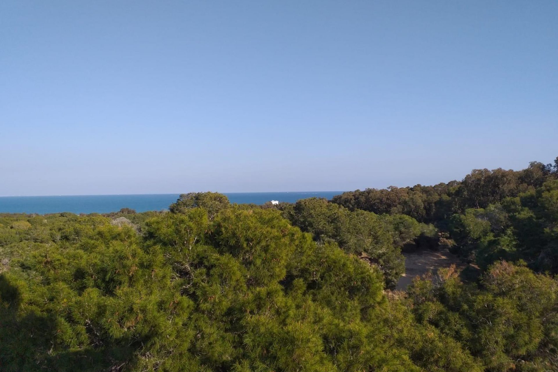 Nieuwbouw  - Penthouse -
Guardamar del Segura - Pueblo