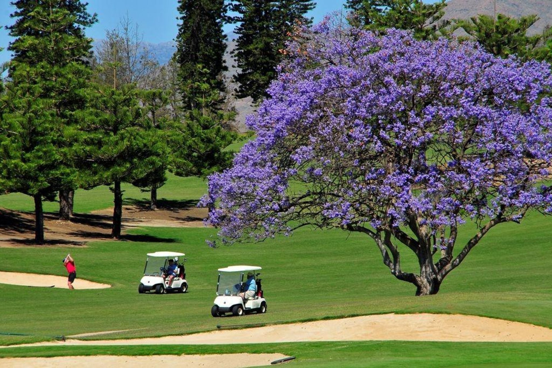 Nieuwbouw  - Penthouse -
Mijas - La Noria Golf