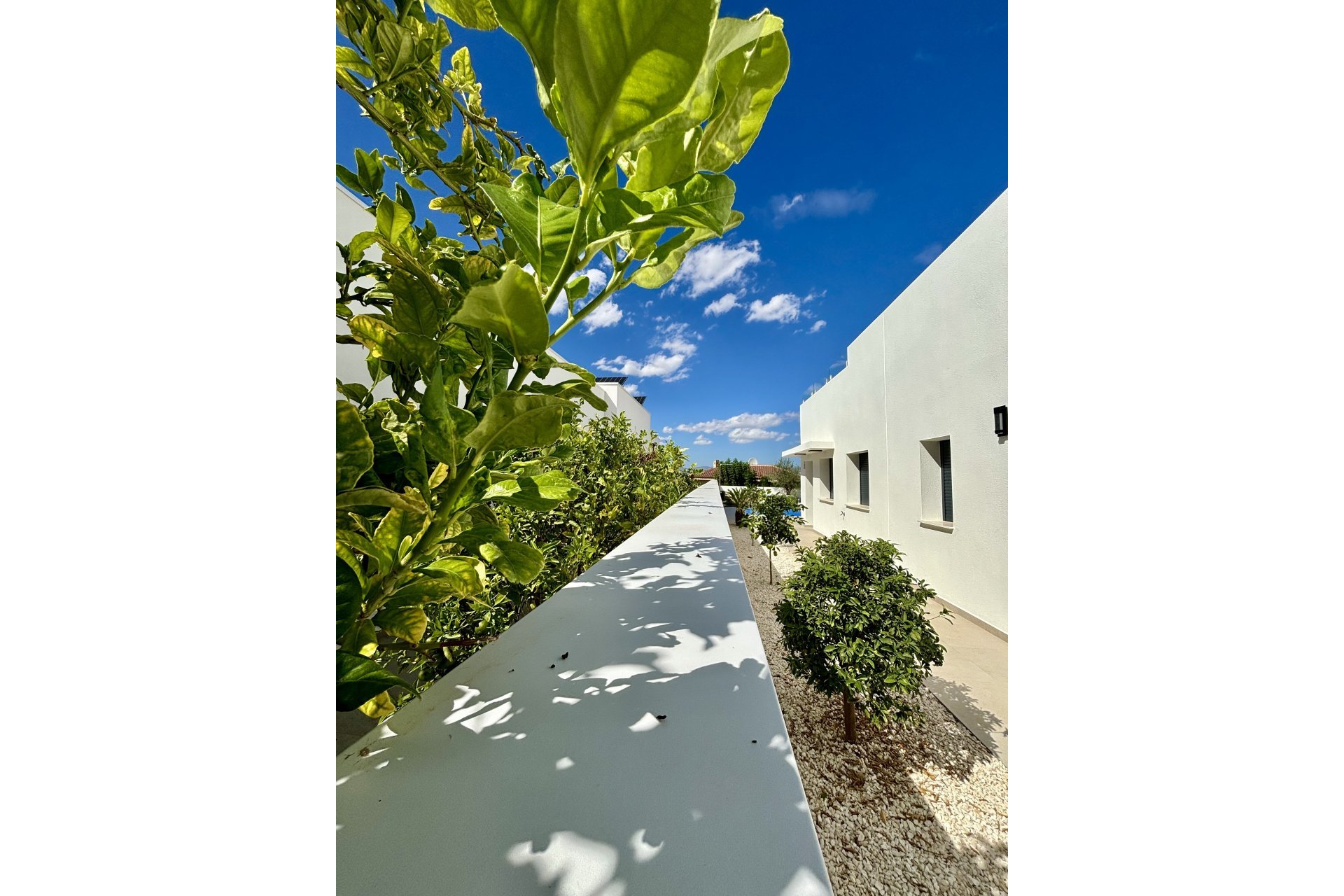 Nieuwbouw  - Villa -
Benijofar