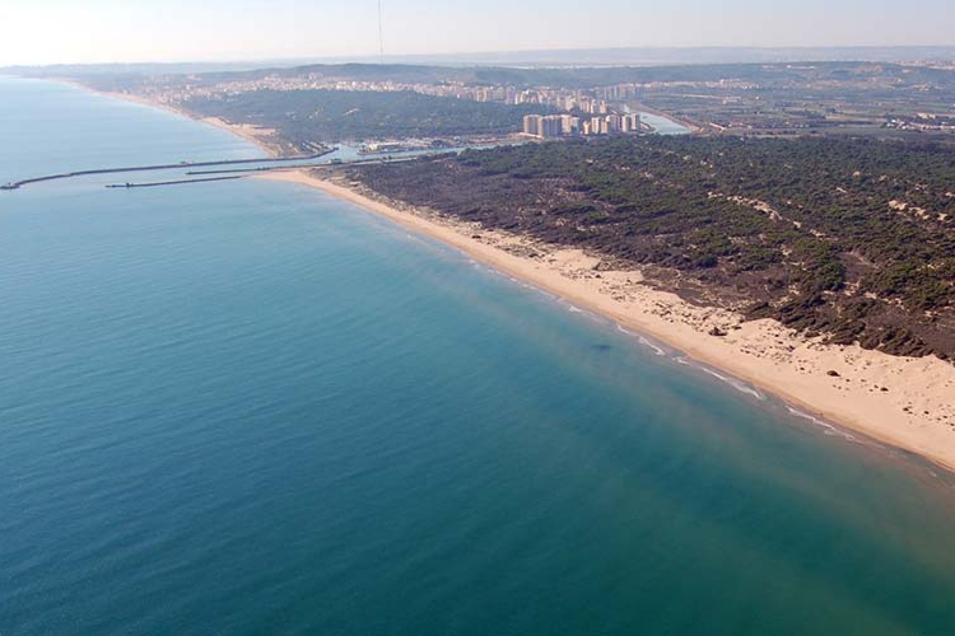 Nieuwbouw - Villa -
Daya Nueva