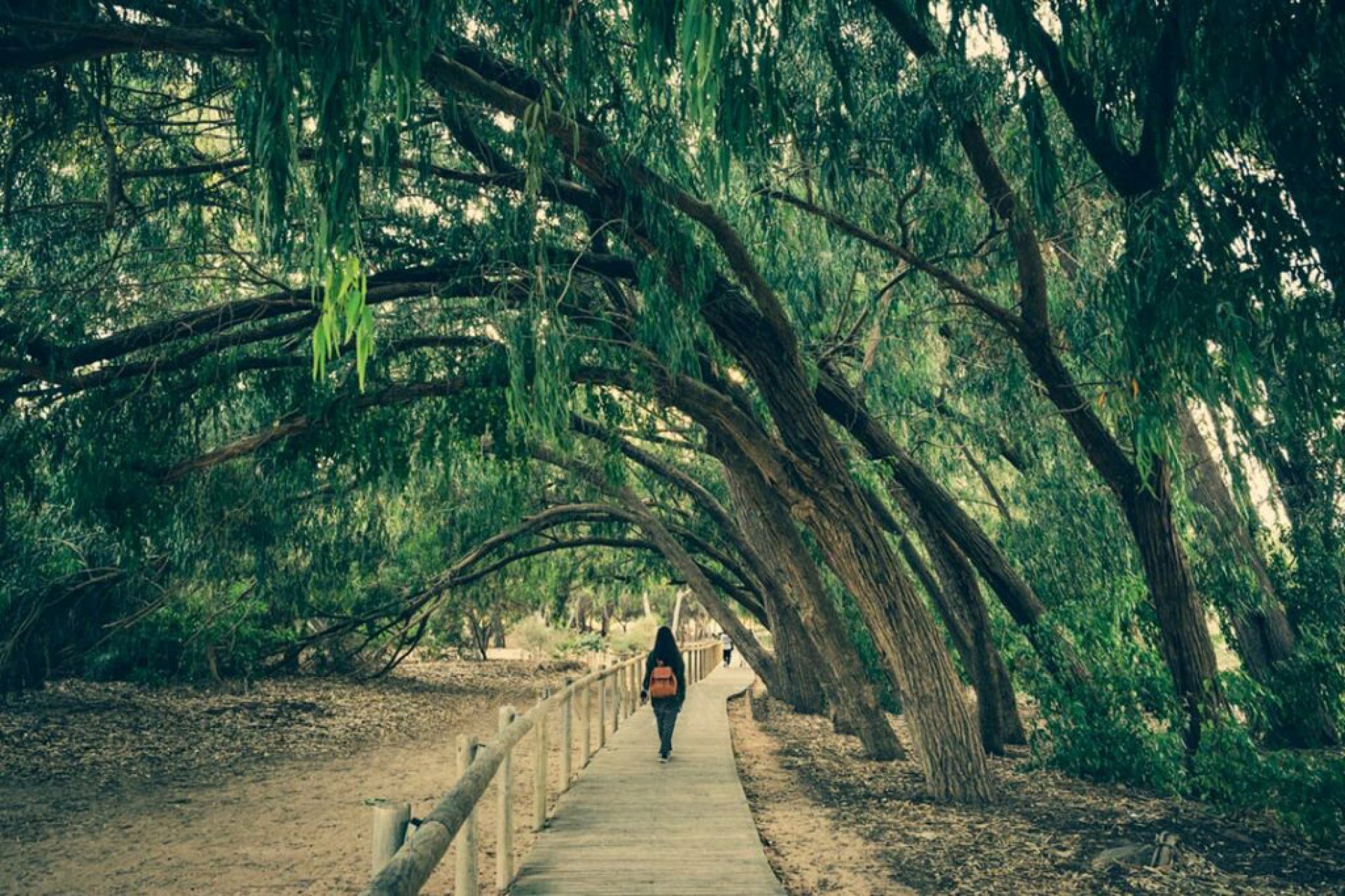 Nieuwbouw  - Villa -
Montesinos - Los Montesinos