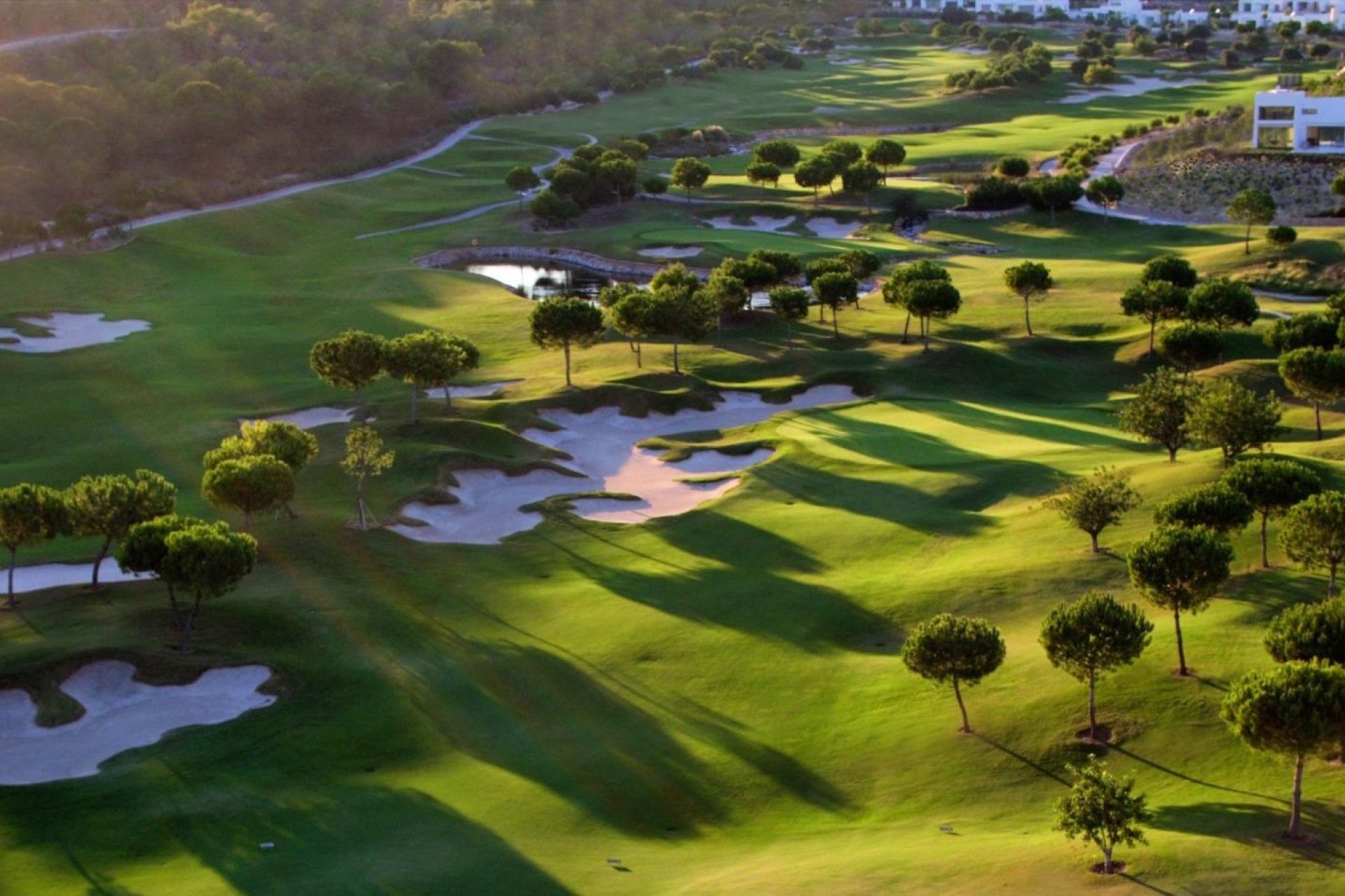 Nieuwbouw - Villa -
Orihuela - Las Colinas Golf
