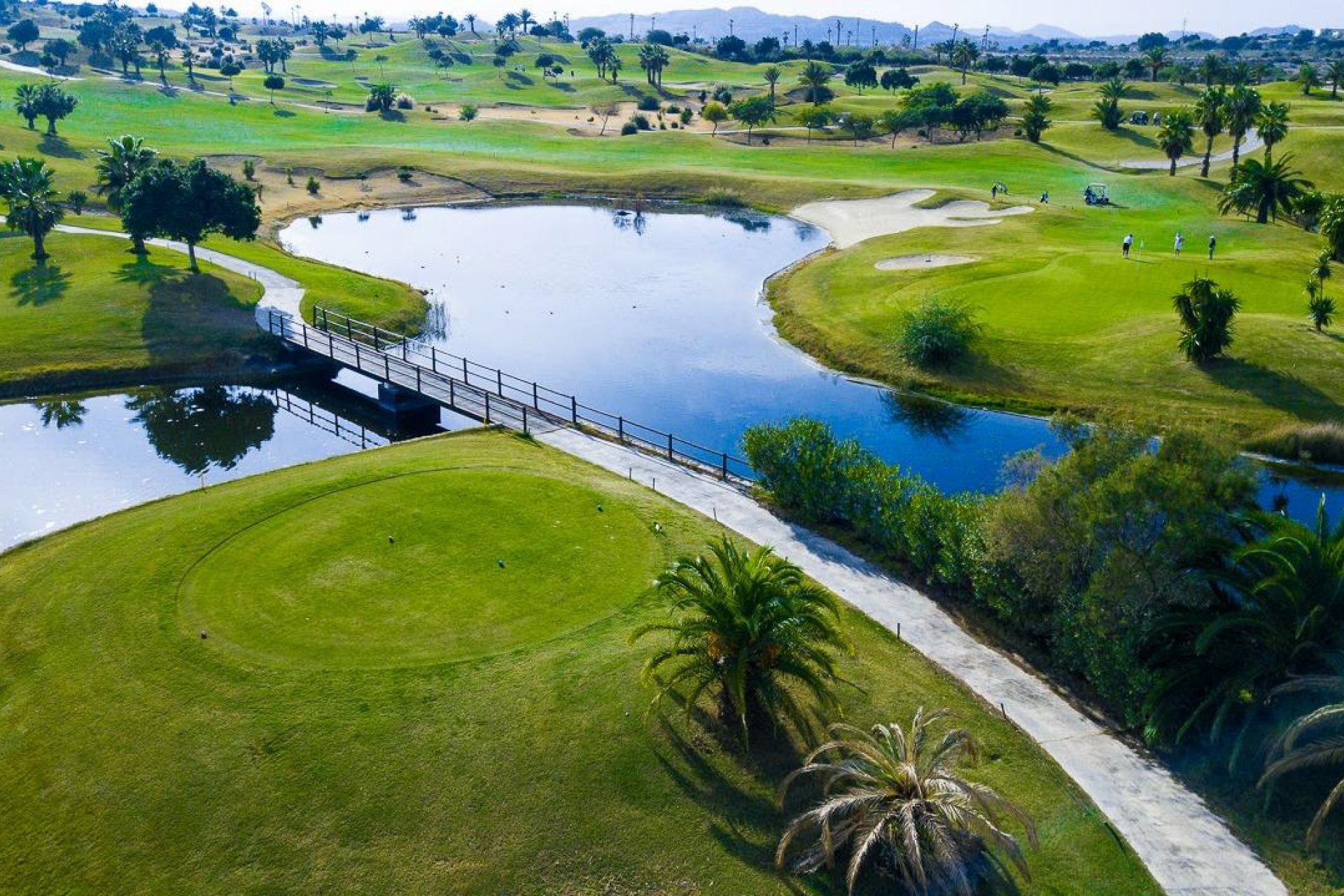 Nieuwbouw  - Villa -
Orihuela - Vistabella Golf