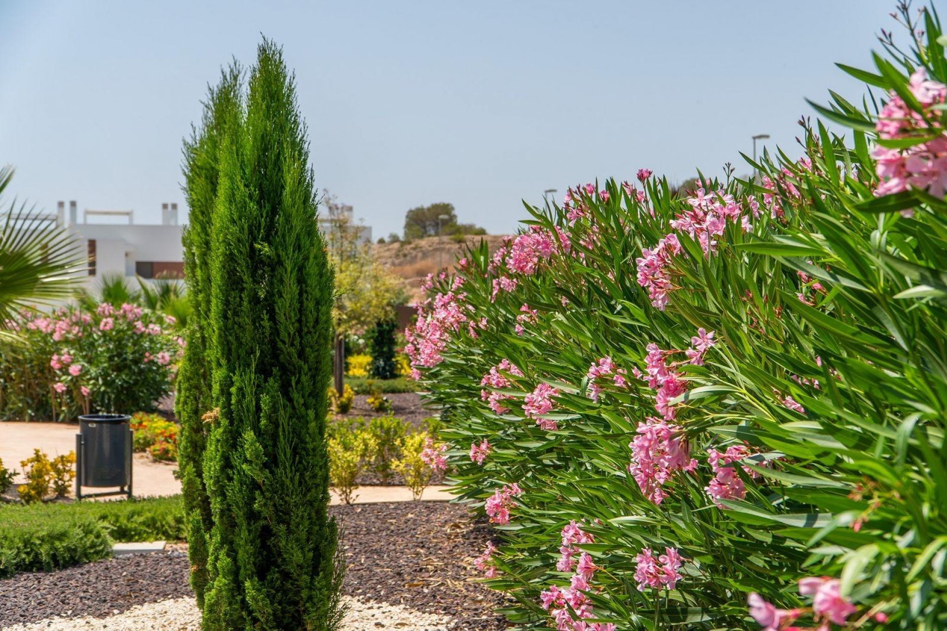 Nieuwbouw  - Villa -
Orihuela - Vistabella Golf