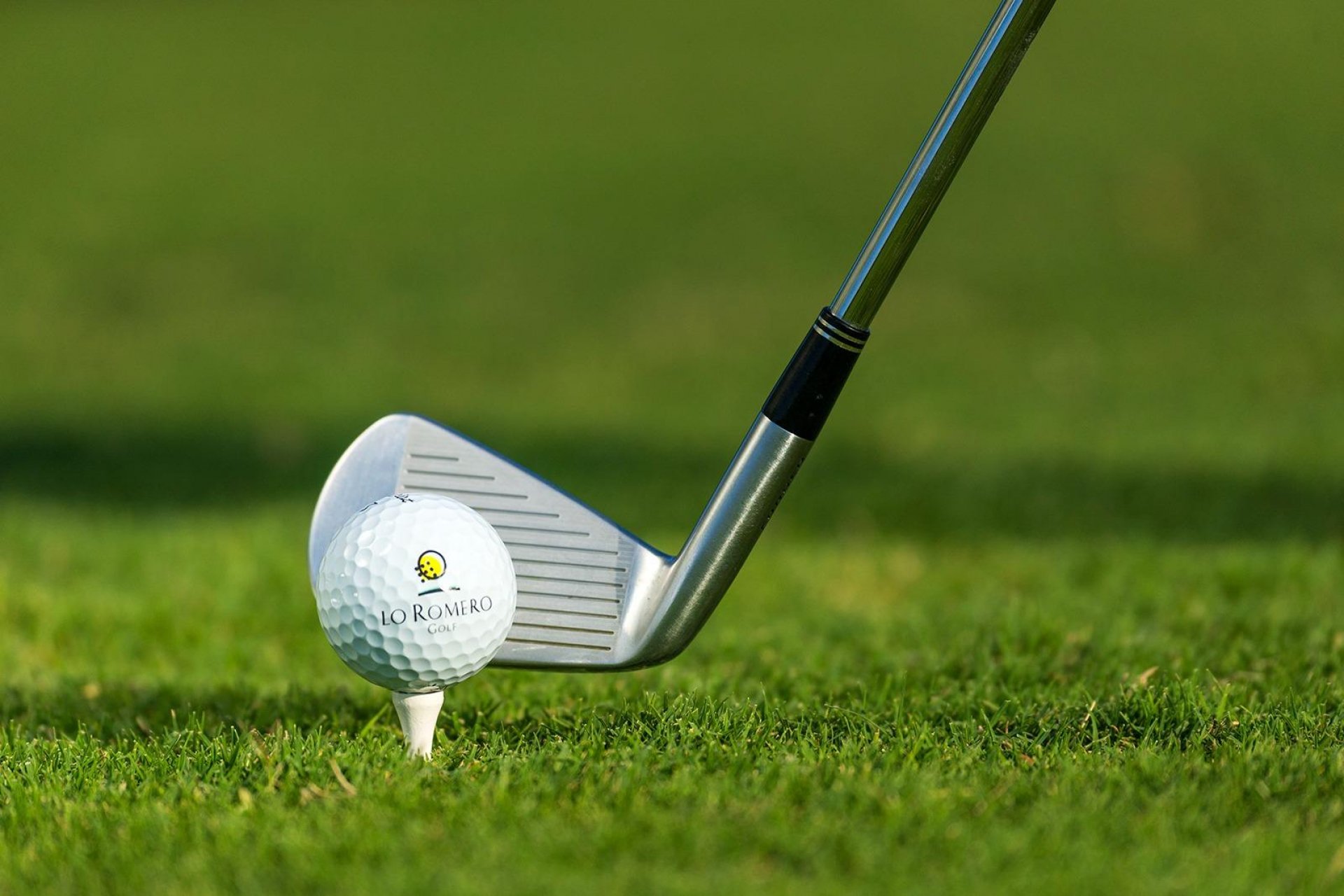 Nieuwbouw  - Villa -
Pilar de la Horadada - Lo Romero Golf