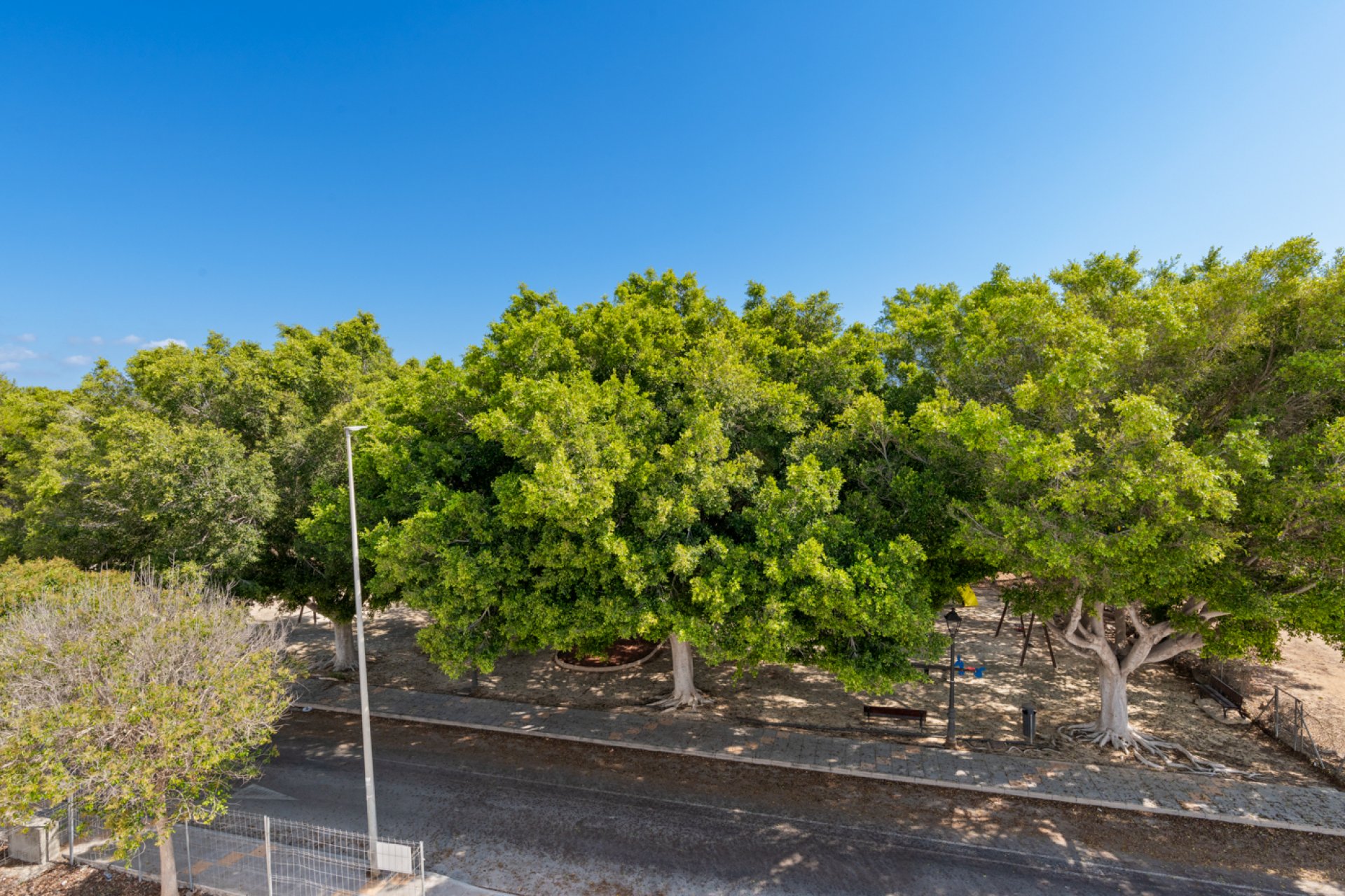 Nieuwbouw  - Villa -
Pilar de la Horadada