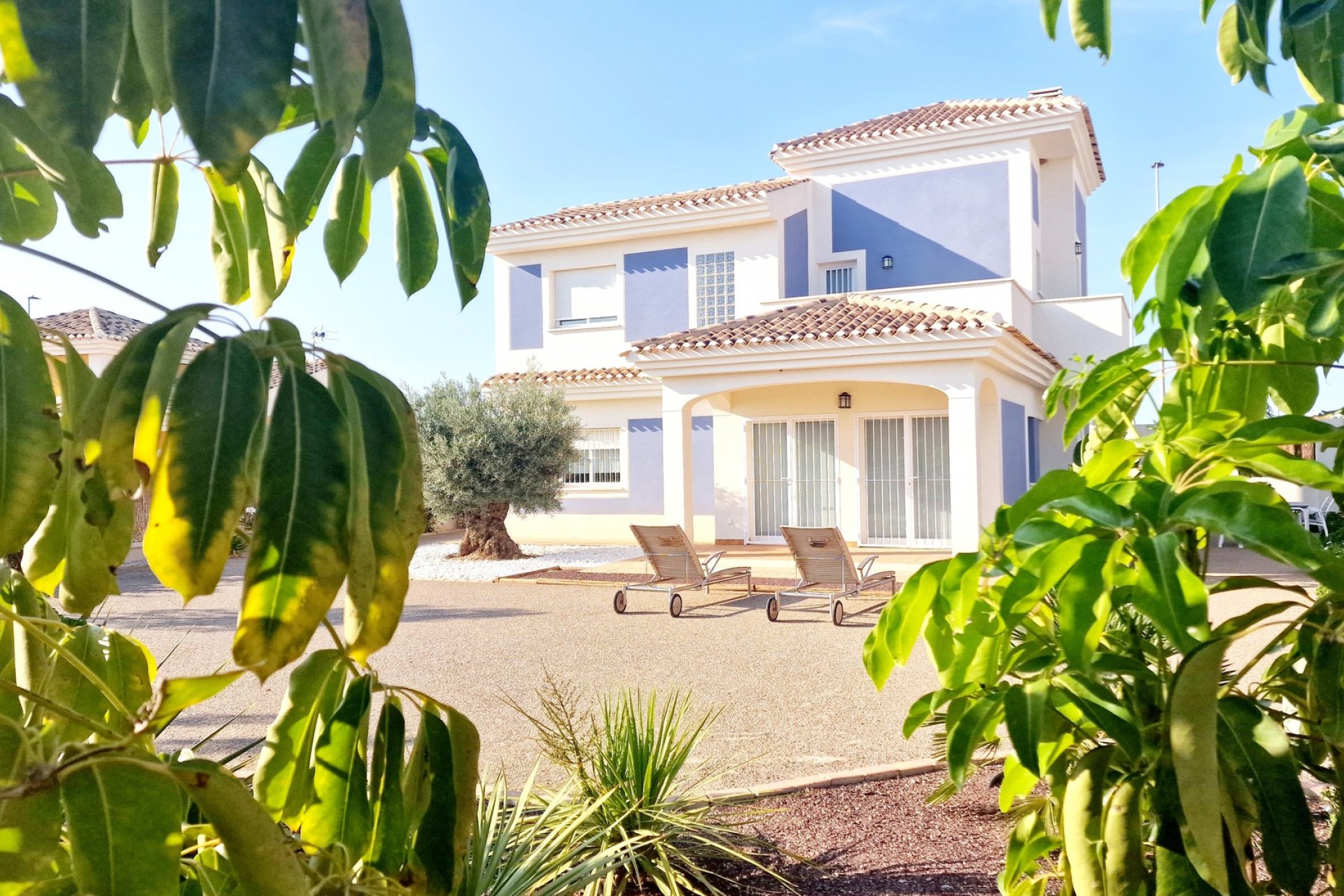 Nieuwbouw - Villa -
Purias