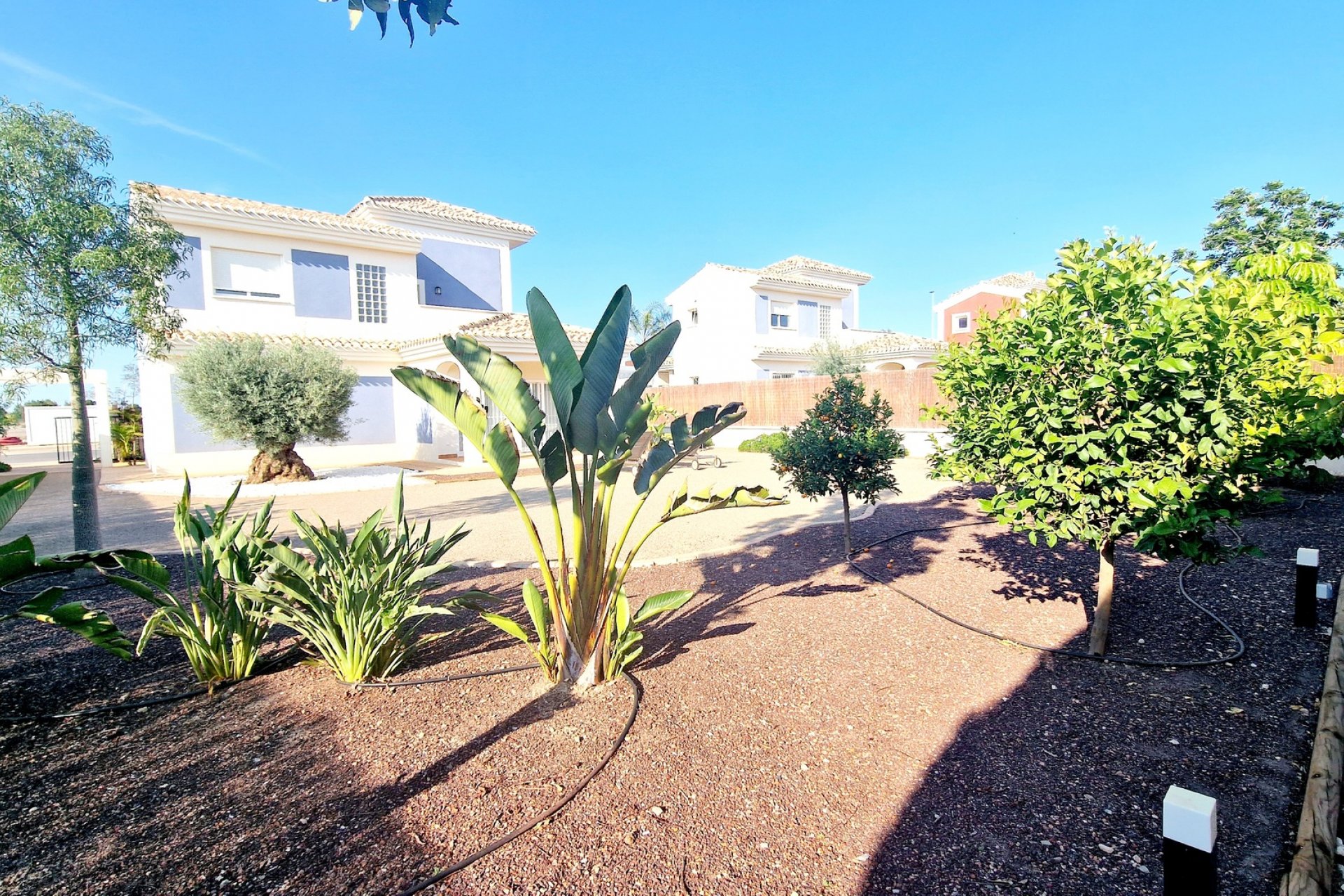 Nieuwbouw - Villa -
Purias