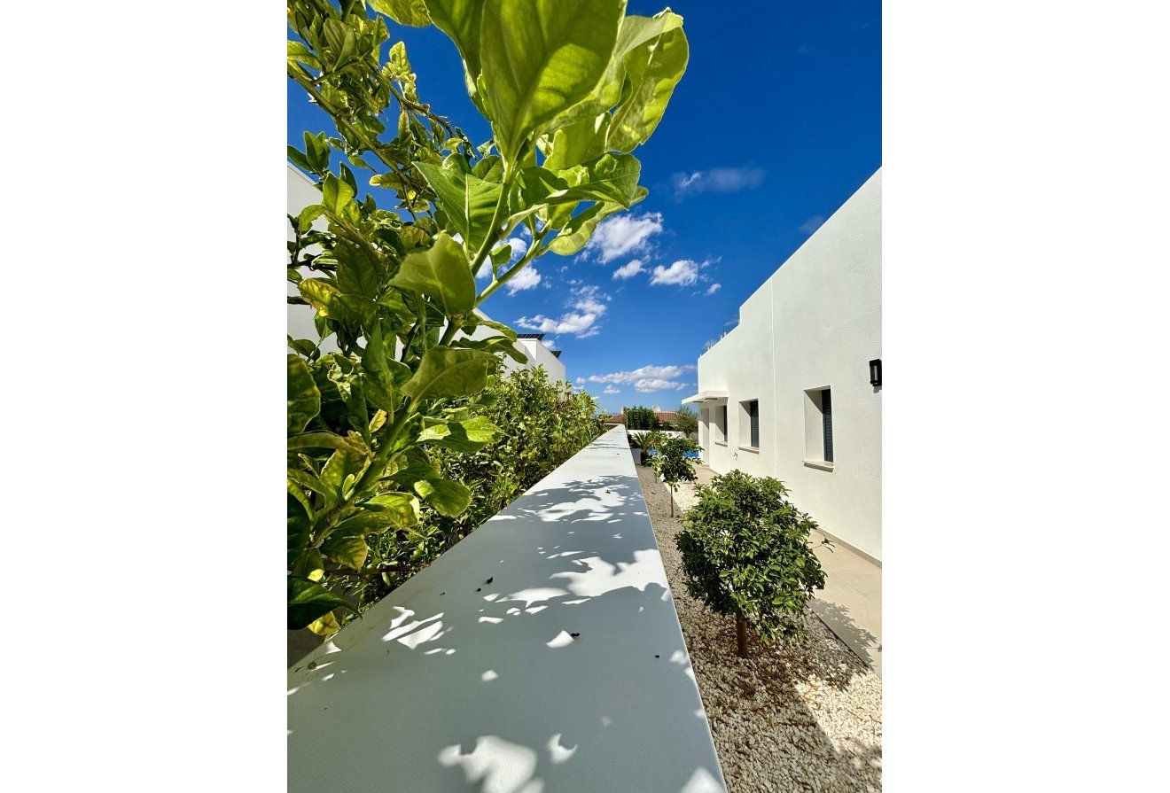 Nieuwbouw  - Villa -
Benijofar