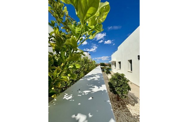 Nieuwbouw  - Villa -
Benijofar