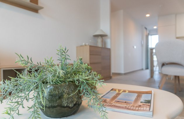 Nieuwbouw - Appartement -
Playa Flamenca