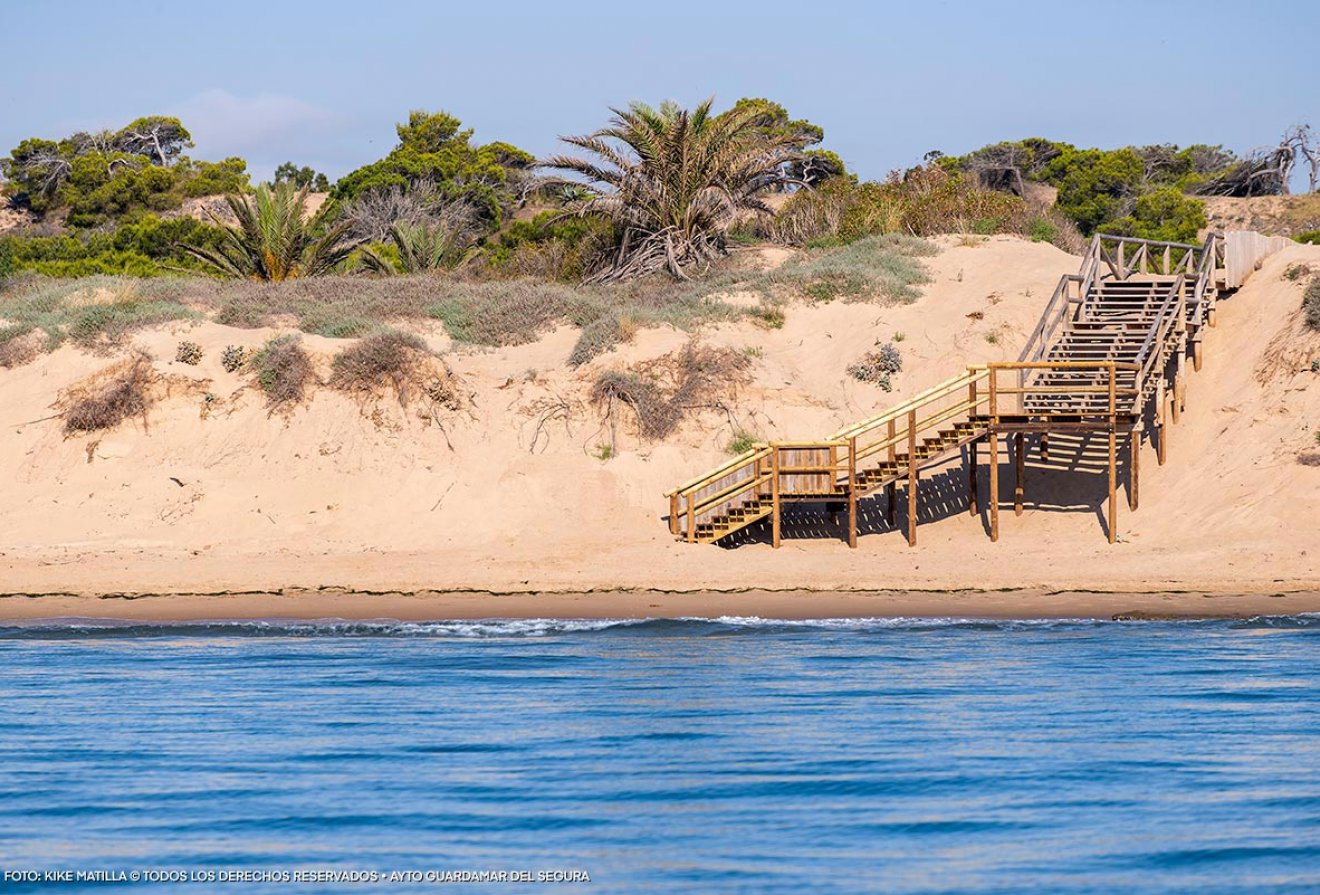 Nieuwbouw - Villa -
Daya Nueva