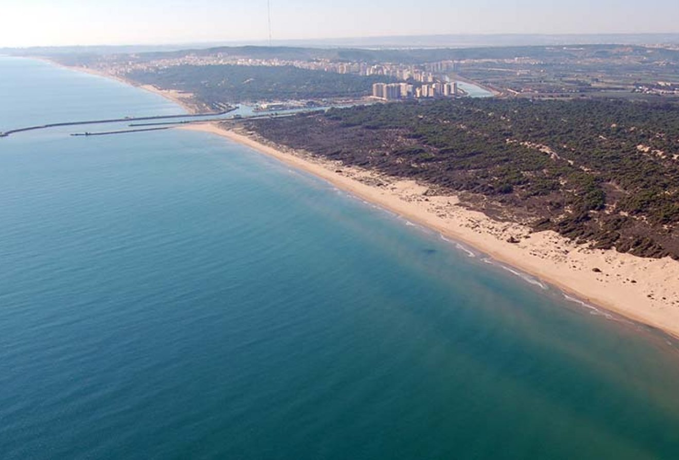 Nieuwbouw - Villa -
Daya Nueva