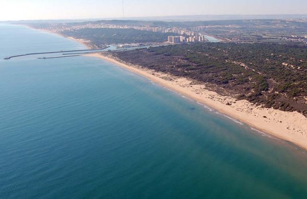 Nieuwbouw - Villa -
Daya Nueva