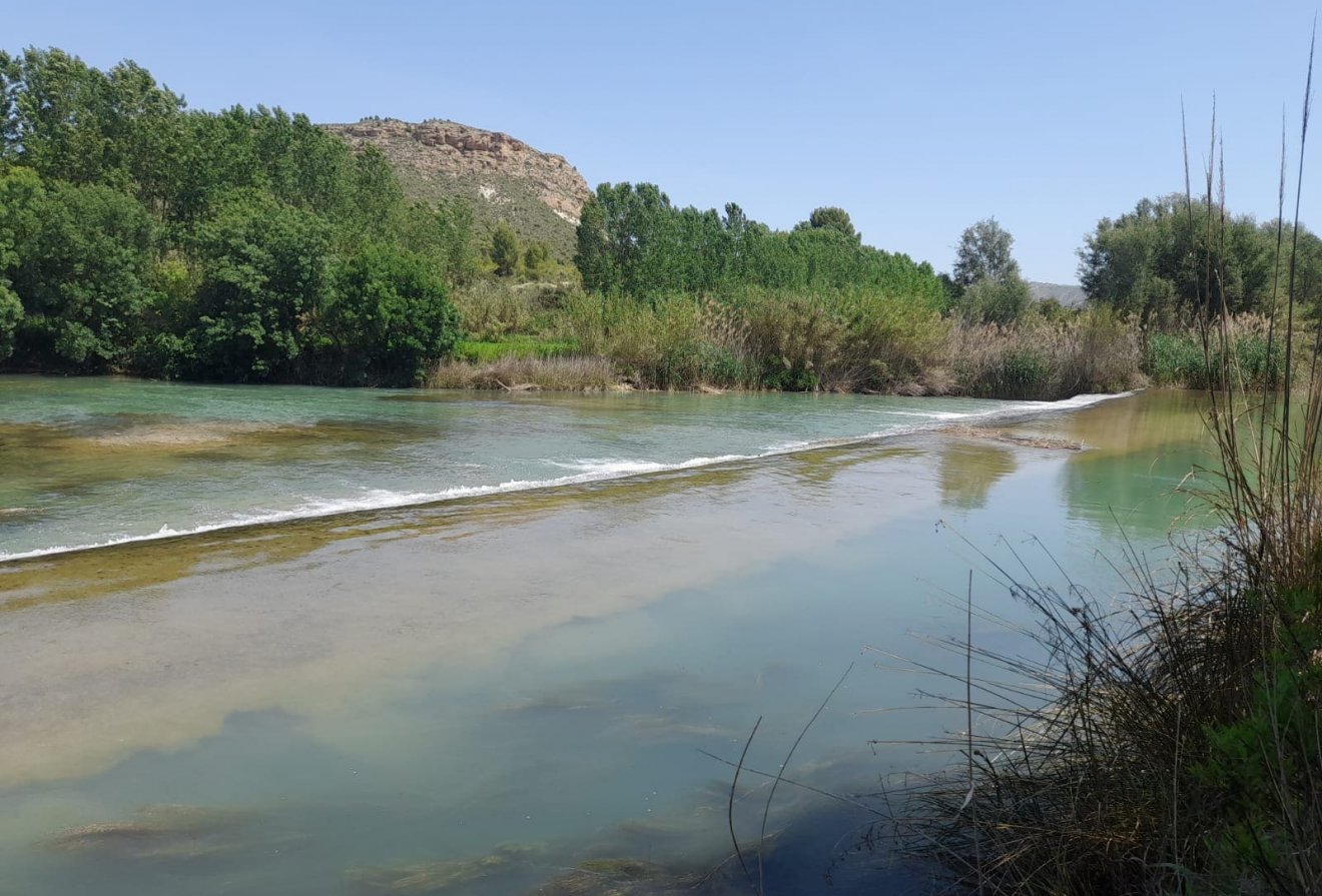 Nieuwbouw  - Villa -
Calasparra