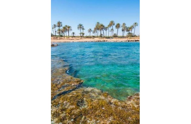 Nieuwbouw  - Appartement -
Torrevieja