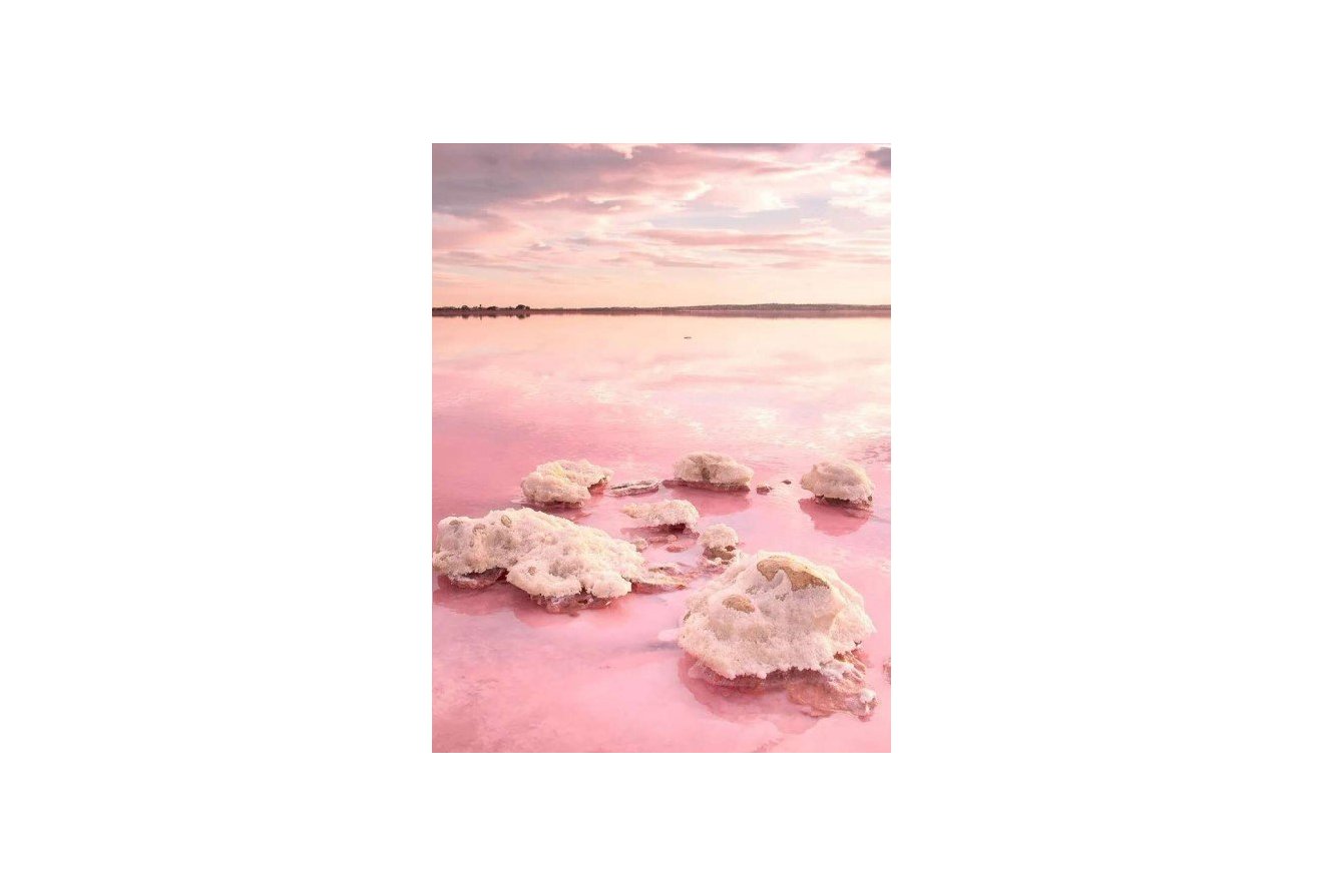 Nieuwbouw  - Appartement -
Torrevieja