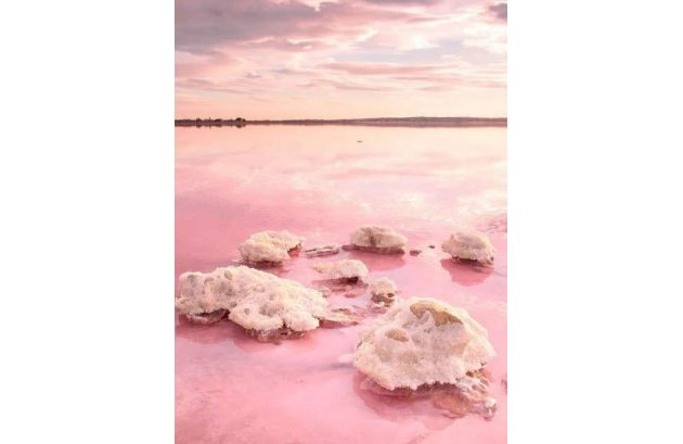 Nieuwbouw  - Appartement -
Torrevieja