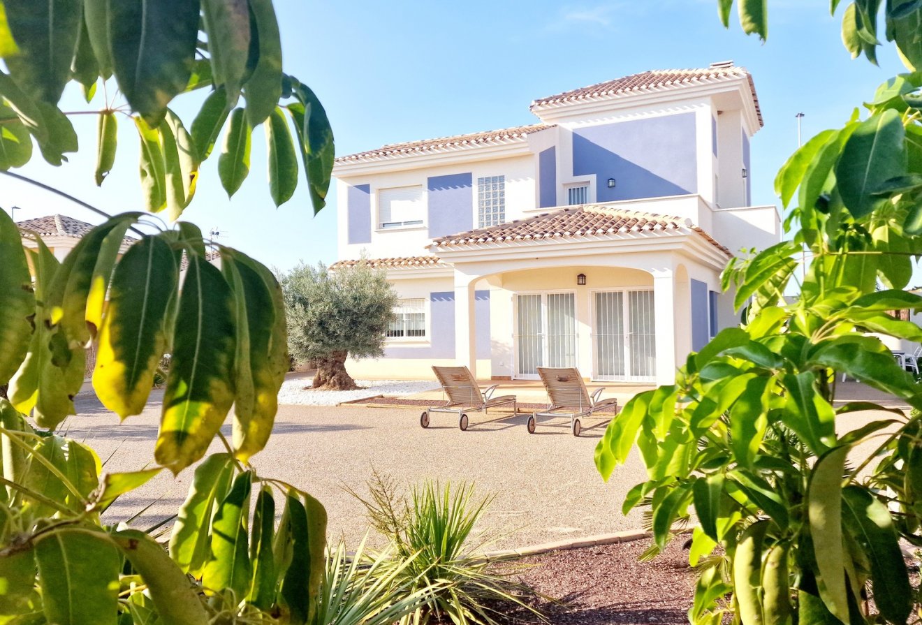 Nieuwbouw - Villa -
Purias