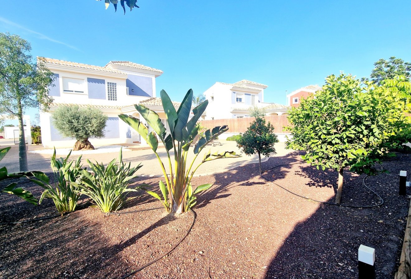 Nieuwbouw - Villa -
Purias