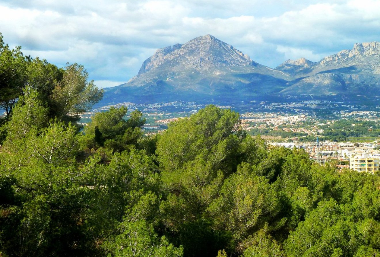 Nieuwbouw  - Appartement -
Finestrat