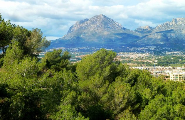 Nieuwbouw  - Appartement -
Finestrat