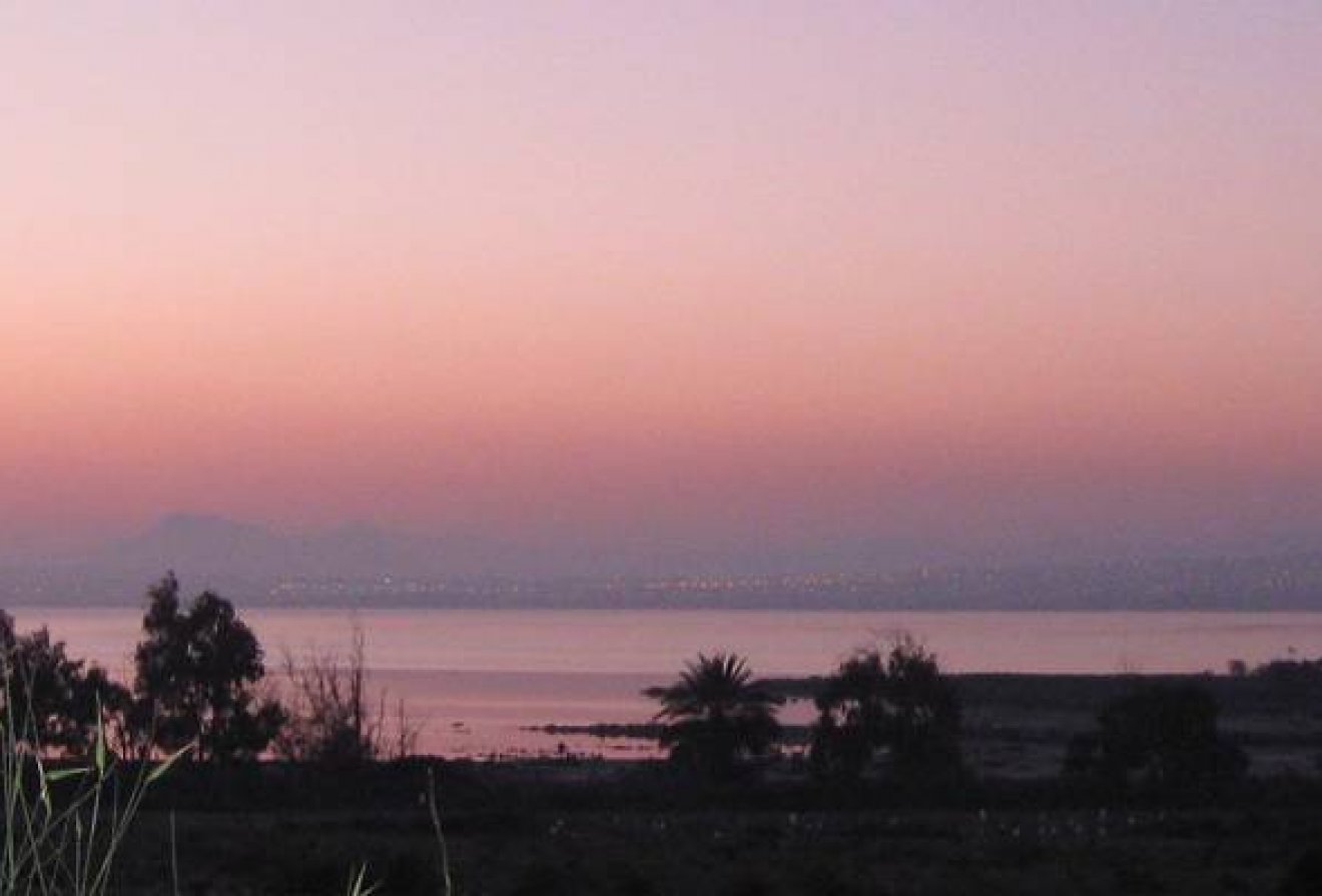 Nieuwbouw  - Penthouse -
Guardamar del Segura