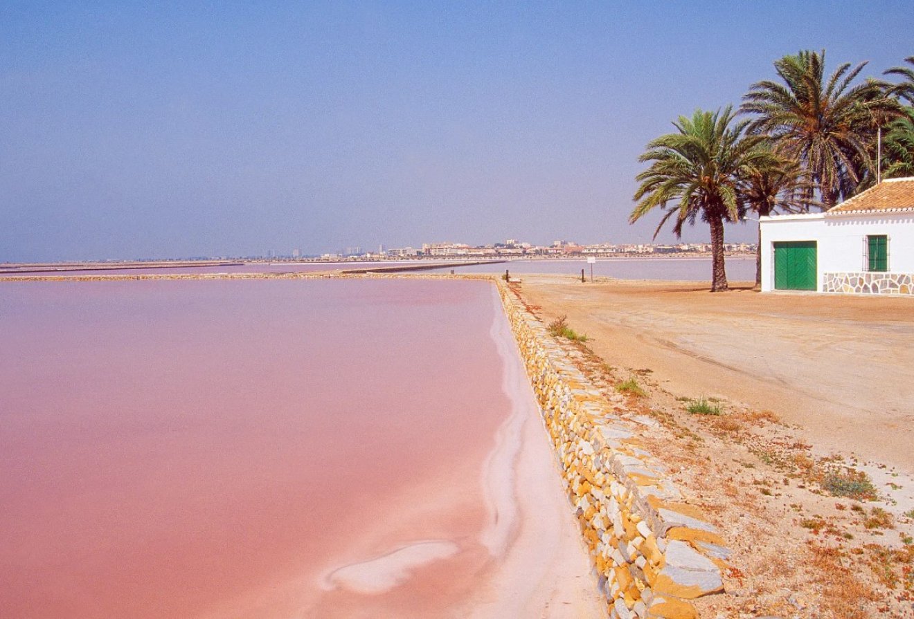 Nieuwbouw  - Appartement -
San Pedro del Pinatar