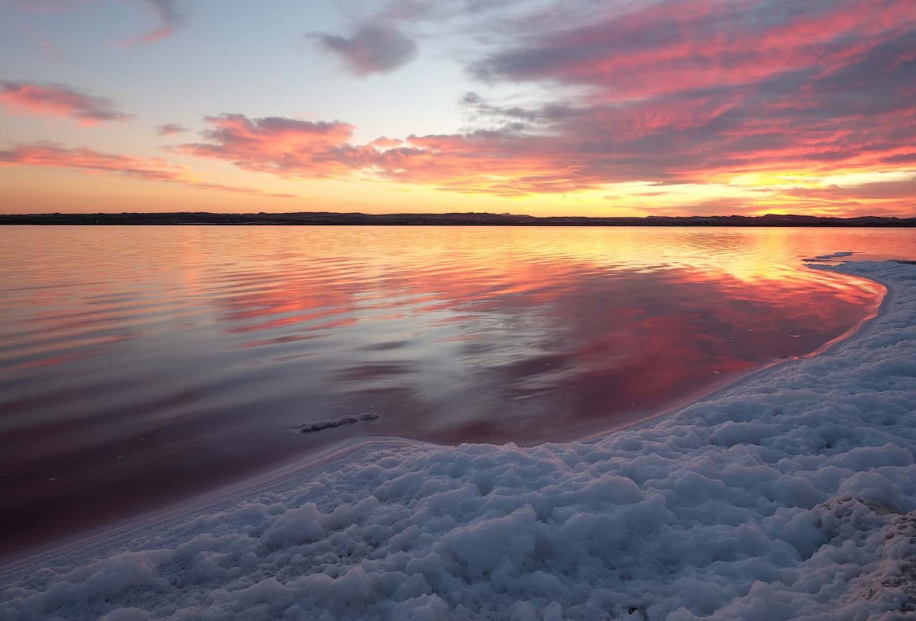 Nieuwbouw  - Appartement -
Torrevieja