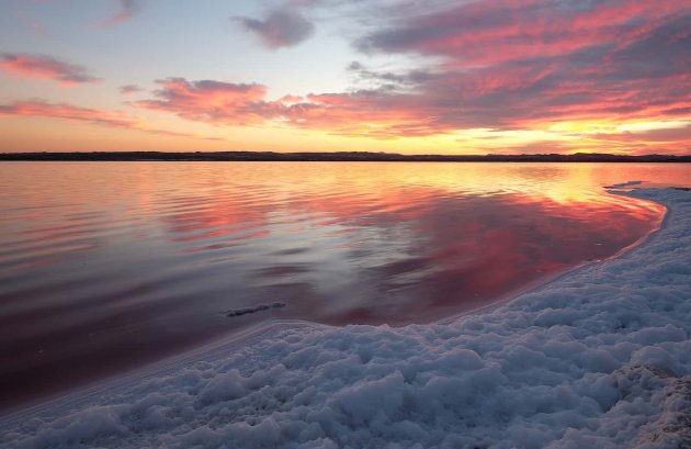 Nieuwbouw  - Appartement -
Torrevieja