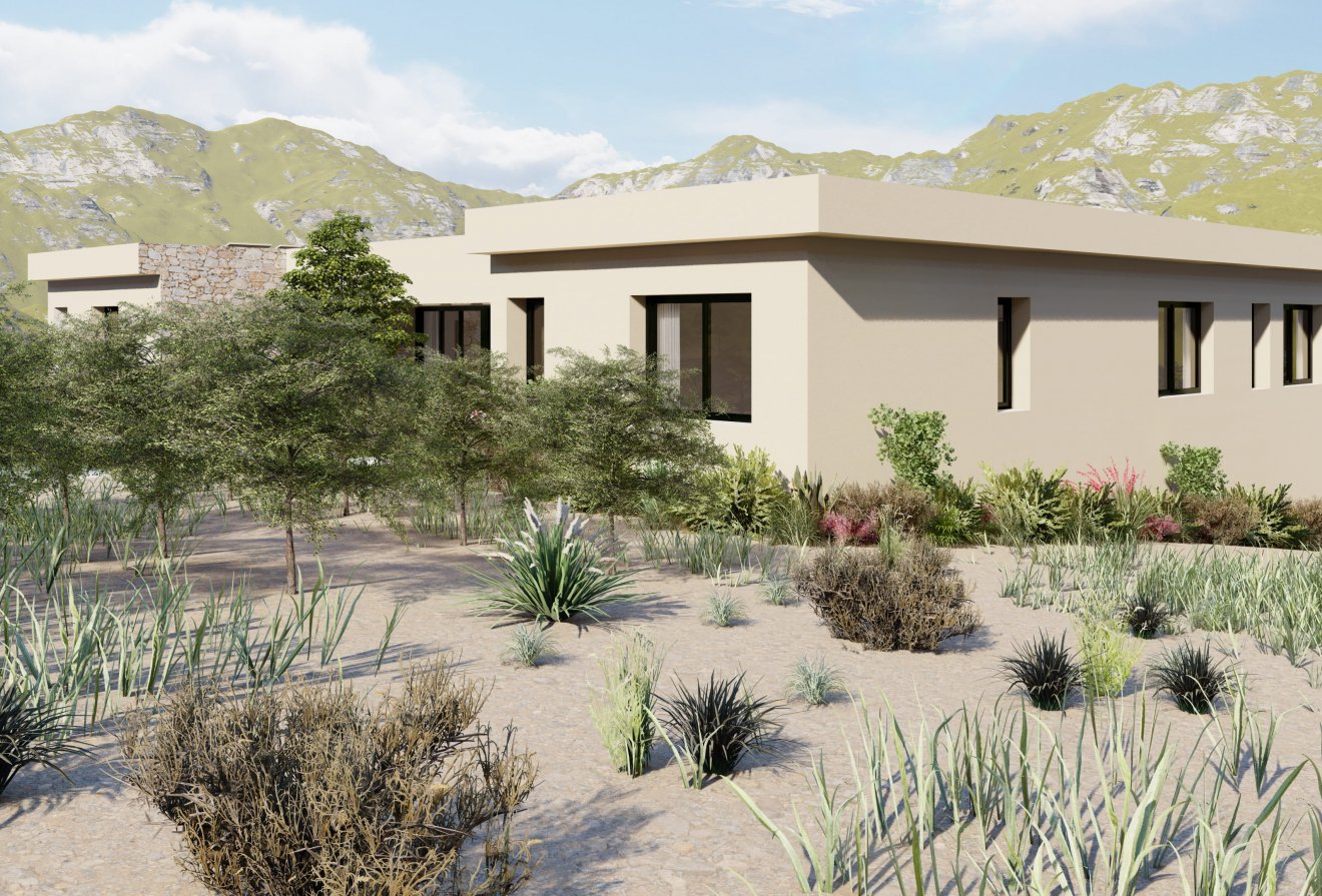 Nieuwbouw  - Villa -
Yecla