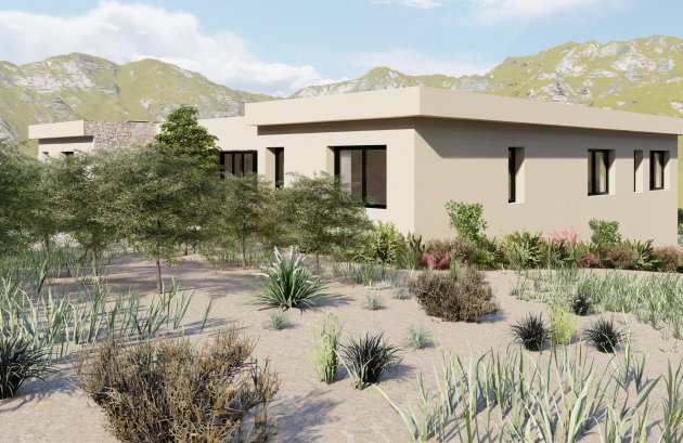 Nieuwbouw  - Villa -
Yecla