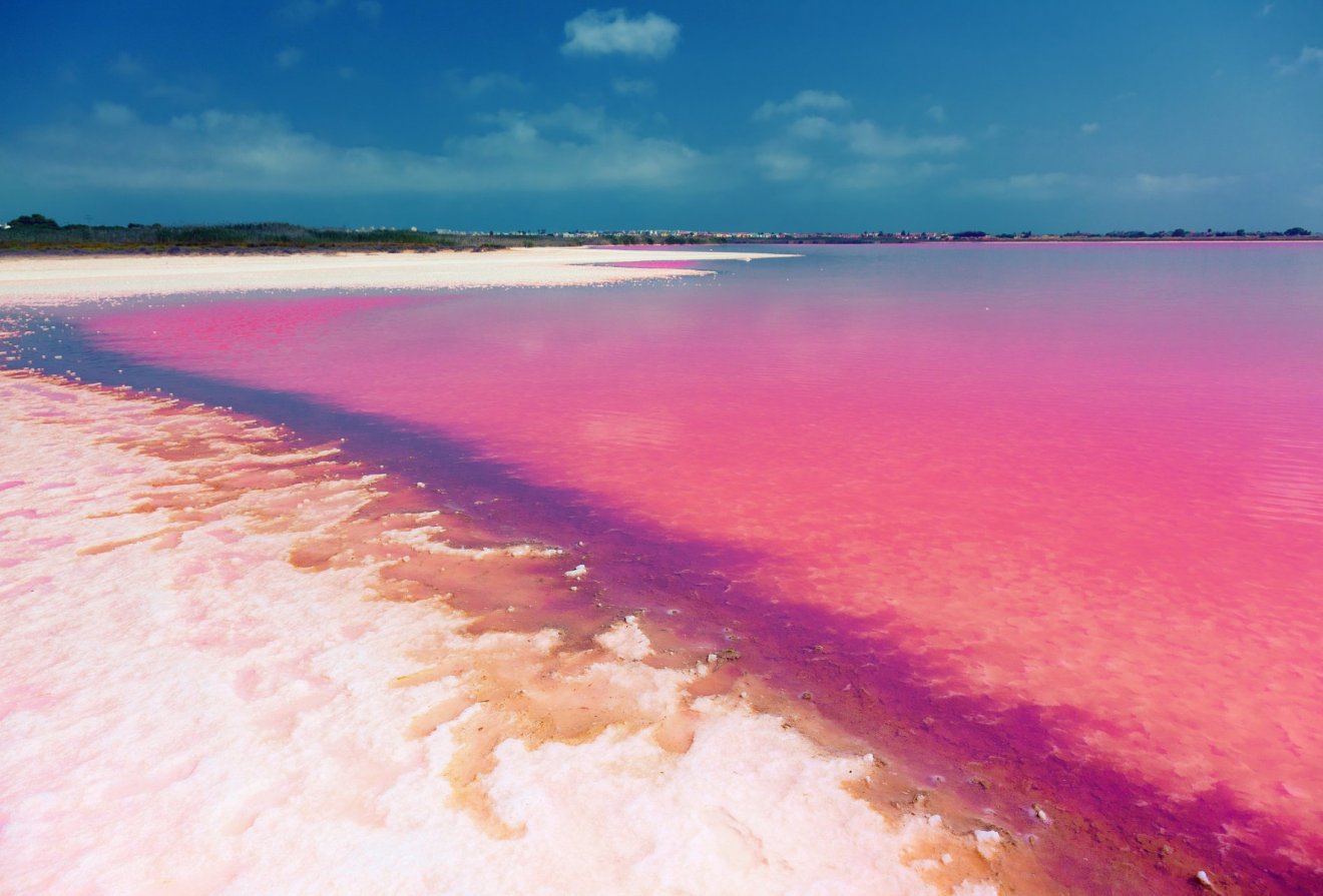 Nieuwbouw - Villa -
Montesinos - Los Montesinos