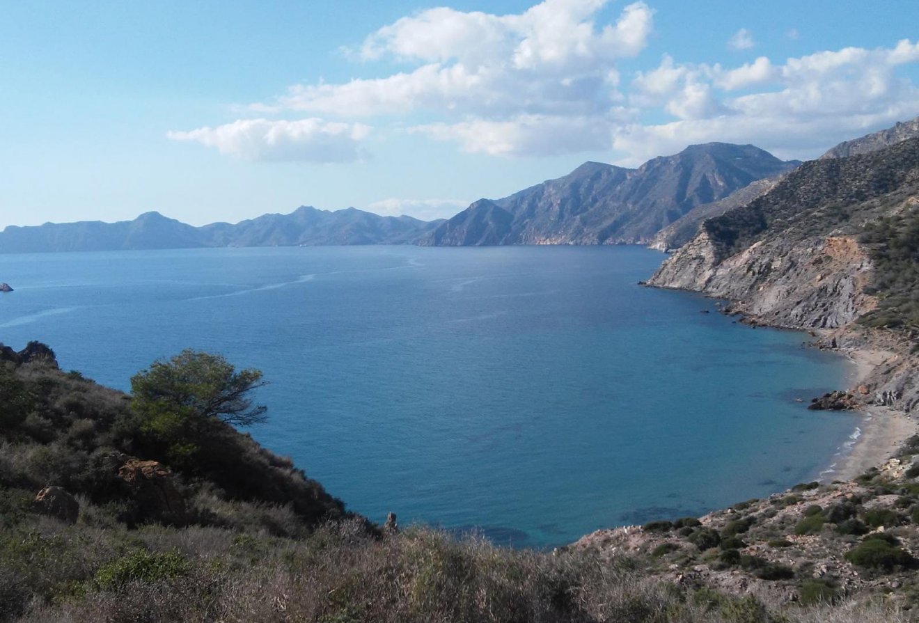 New Build - Villa -
Torre-Pacheco